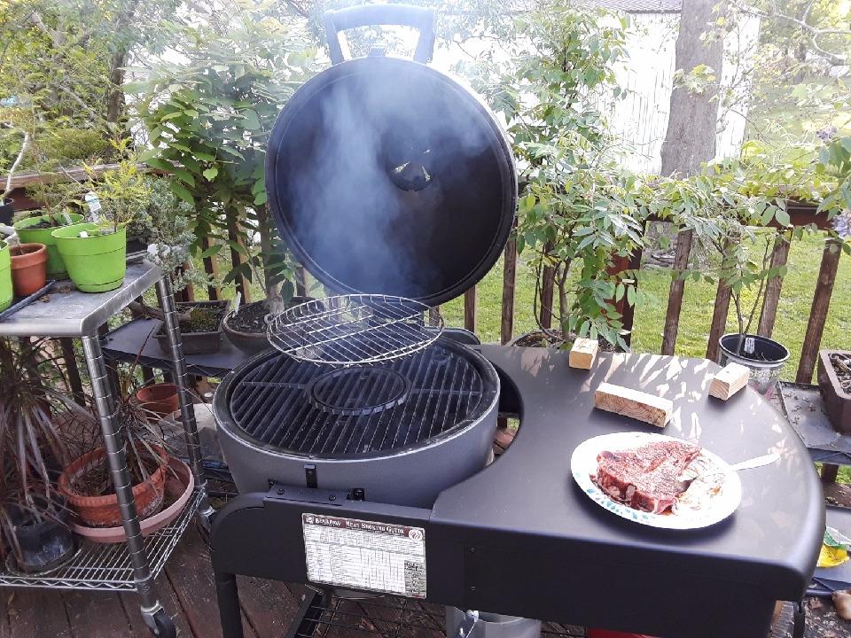 Char-Griller® AKORN® Kamado Charcoal Grill and Smoker with Durable Grill Cart, Cast Iron Grates and Warming Rack, 445 Cooking Square Inches in Sapphire, Model E56520 customer photo 1