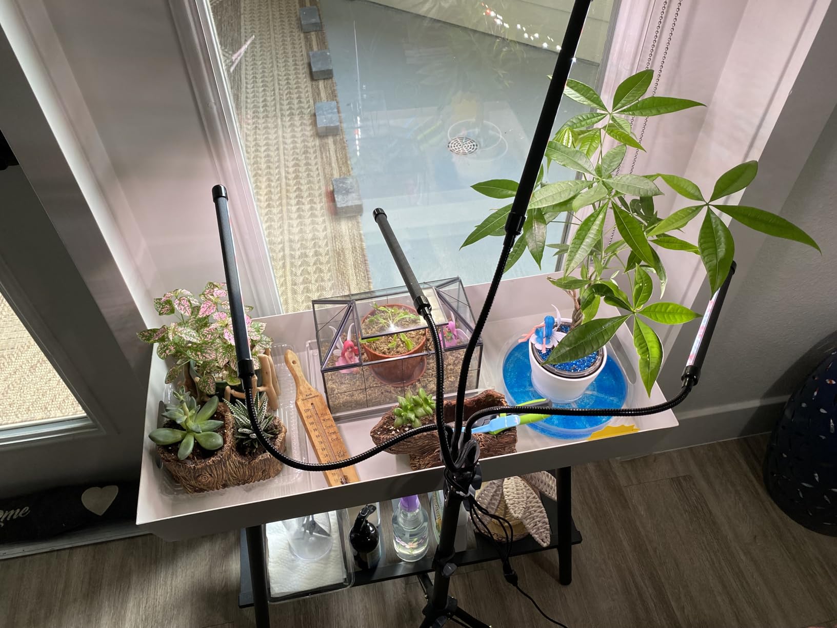 GHodec Grow Light Free Standing, 5500K Full Spectrum Gooseneck LED Lamp customer photo 1