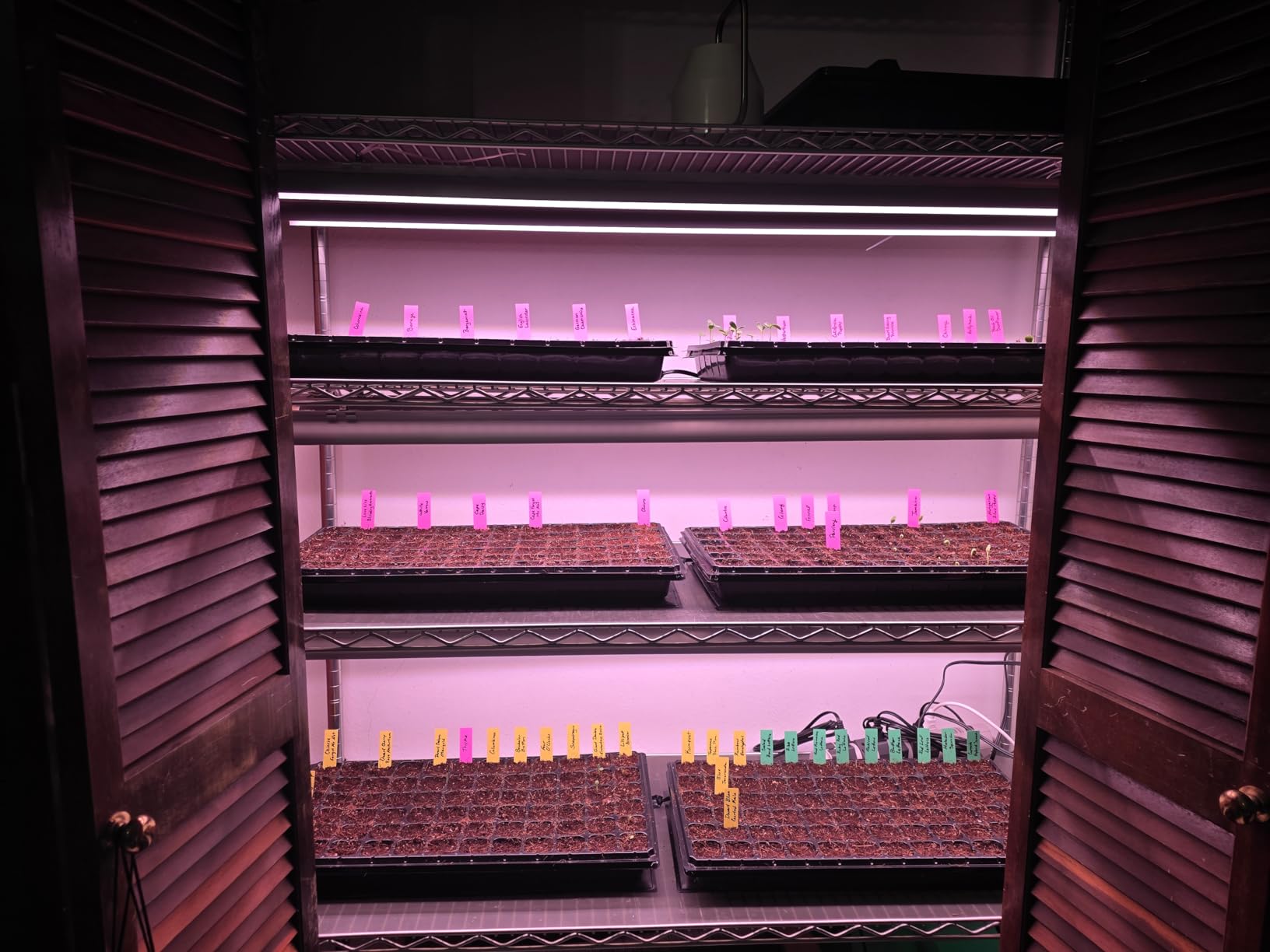 Barrina 4FT T8 Plant Grow Light, 42W Full Spectrum LED Growing Lamp, 6 Pack customer photo 1