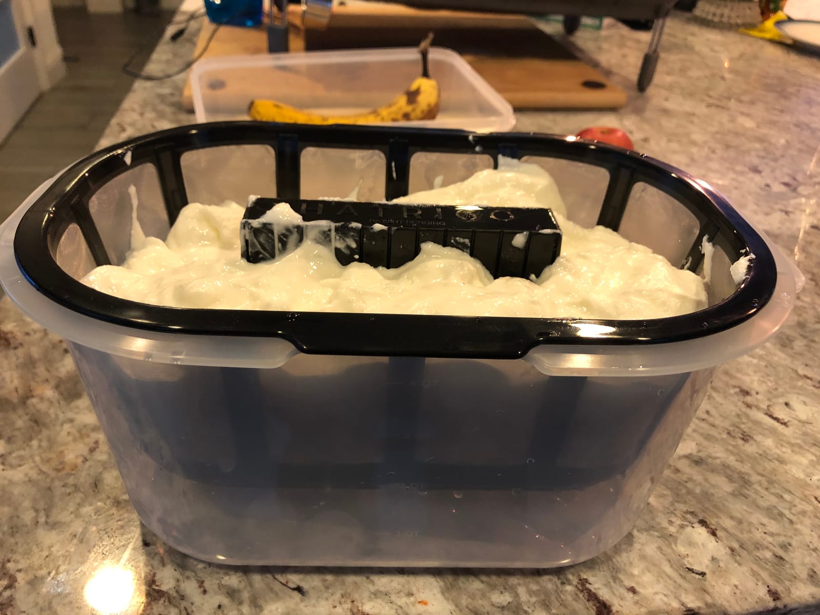 Hatrigo 2-Quart Inner Capacity Greek Yogurt Maker with Extra Fine Mesh Stainless Steel Strainer Basket, BPA-Free Greek Yogurt Strainer (12 x 8 x 6 in) customer photo 2