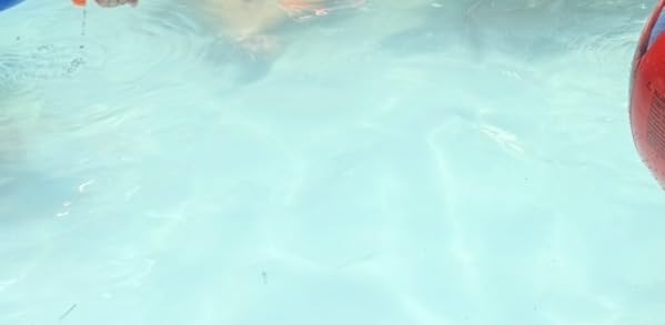 POOLPURE Type A or C/III Pool Filter Replaces Intex 29000E/59900E/#29003E customer photo 2