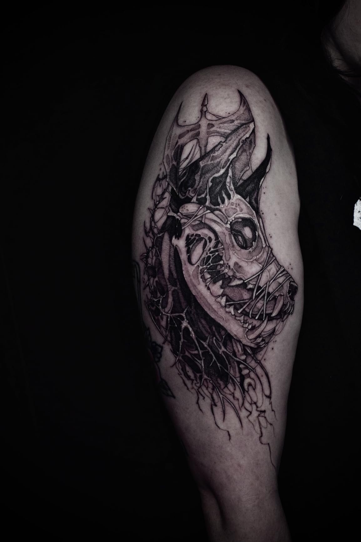Mast Archer Cordless Tattoo Pen Machine Rotary Tattoo Gun customer photo 2
