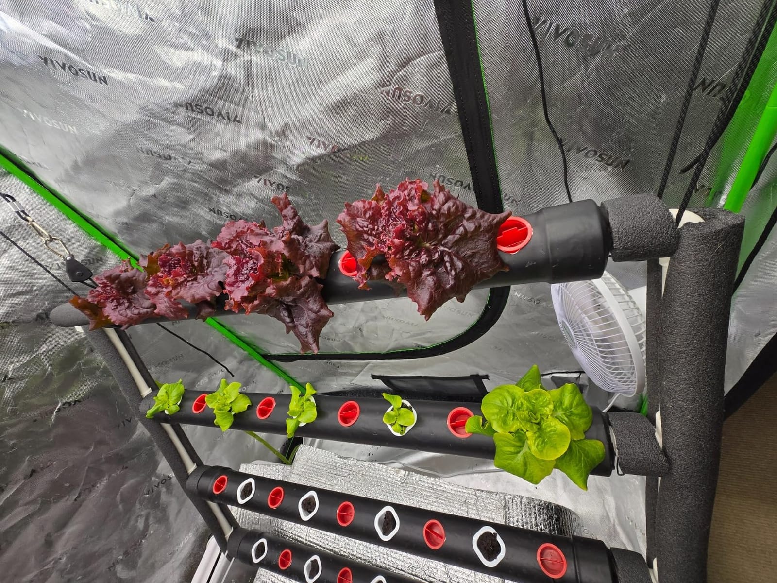 VIVOSUN Wall-Mounted Hydroponic Grow Kit, 1 Layers 36 Plant Sites 4 Food-Grade PVC-U Pipes Hydroponics Planting System with Water Pump, Pump Timer, Nest Basket and Sponge for Leafy Vegetables customer photo 2