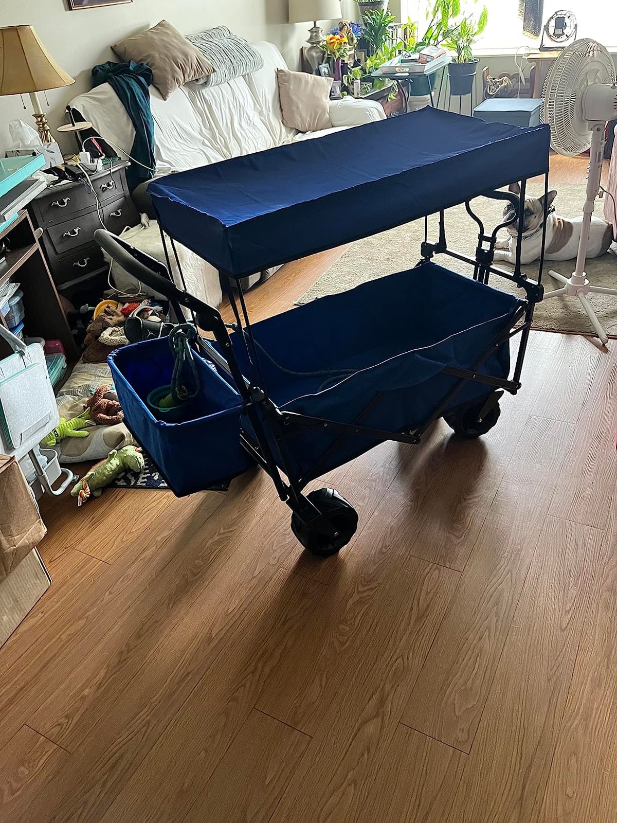 Happbuy Collapsible Wagon with Removable Canopy, 220lbs Heavy Duty Foldable Beach Wagon with Big Wheels customer photo 1