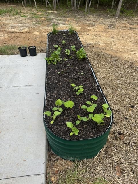 Vego garden Raised Garden Bed Kits, 17