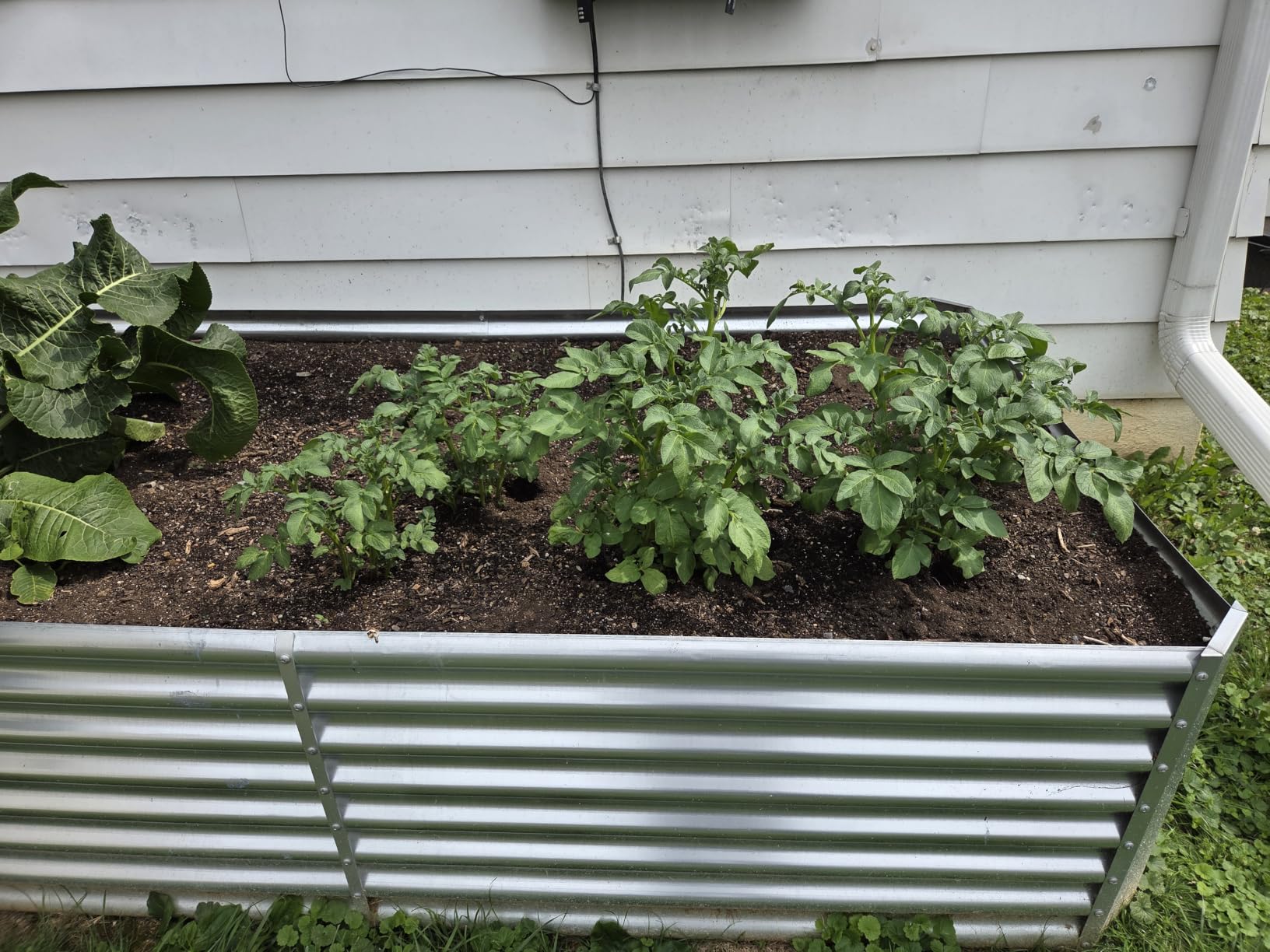 Land Guard 8×4×2 ft Galvanized Raised Garden Bed Kit, Galvanized Planter Raised Garden Boxes Outdoor, Large Metal Raised Garden Beds for Vegetables. customer photo 1