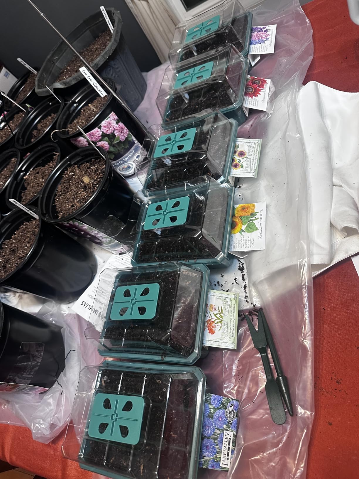 VIVOSUN 6-Pack Seed Starter Trays, 72-Cell Starter Kit with Humidity Dome customer photo 1