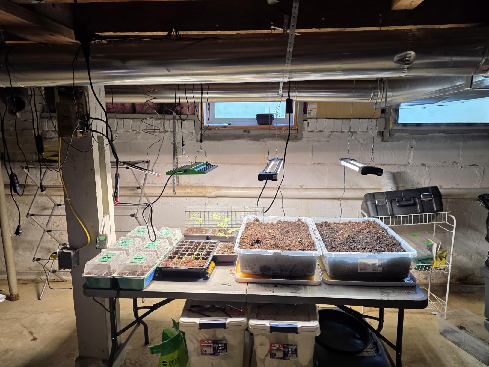 VIVOSUN 6-Pack Seed Starter Trays, 72-Cell Starter Kit with Humidity Dome customer photo 2