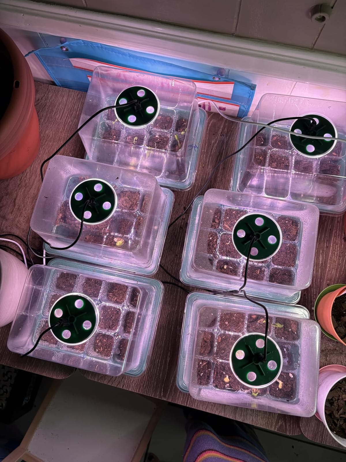 Seed Starter Tray with Light, 6PCS Seed Starter Kit with Grow Light, Seedling Starter Trays with Humidity Domes, Covers Height 3.9