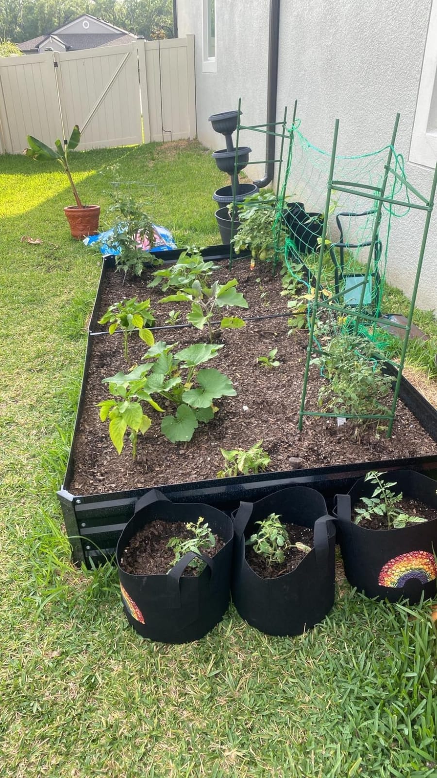 ONCEMORE Galvanized Raised Garden Bed for Vegetables Flowers Herbs, Metal Raised Garden Bed Kit with 2 PCS Tomato Cage, Gloves, Trellis Netting, Plant Labels, Plant Ties, Black 8×4×1FT customer photo 1