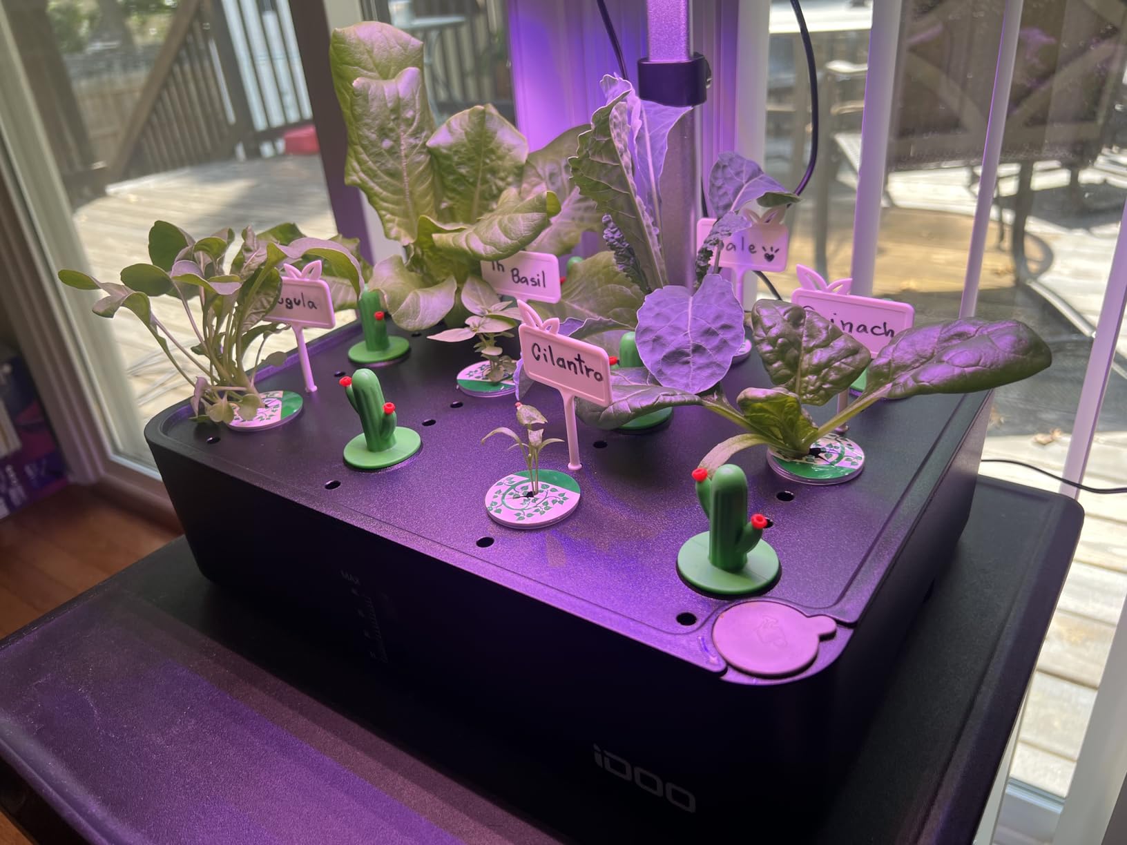 iDOO Smart Hydroponics Growing System with 12 Pods Kit Indoor Herb Garden customer photo 1