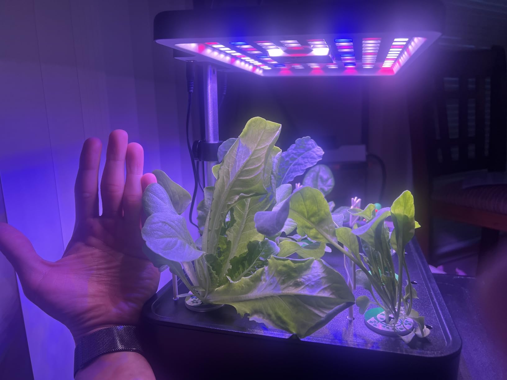 iDOO Smart Hydroponics Growing System with 12 Pods Kit Indoor Herb Garden customer photo 2