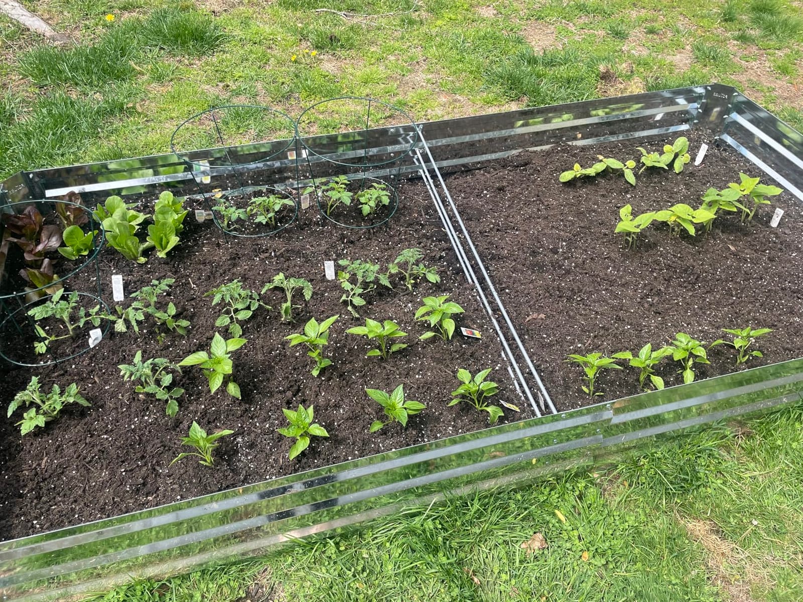 2-Pack Galvanized Raised Garden Bed 8x4x1ft customer photo 1