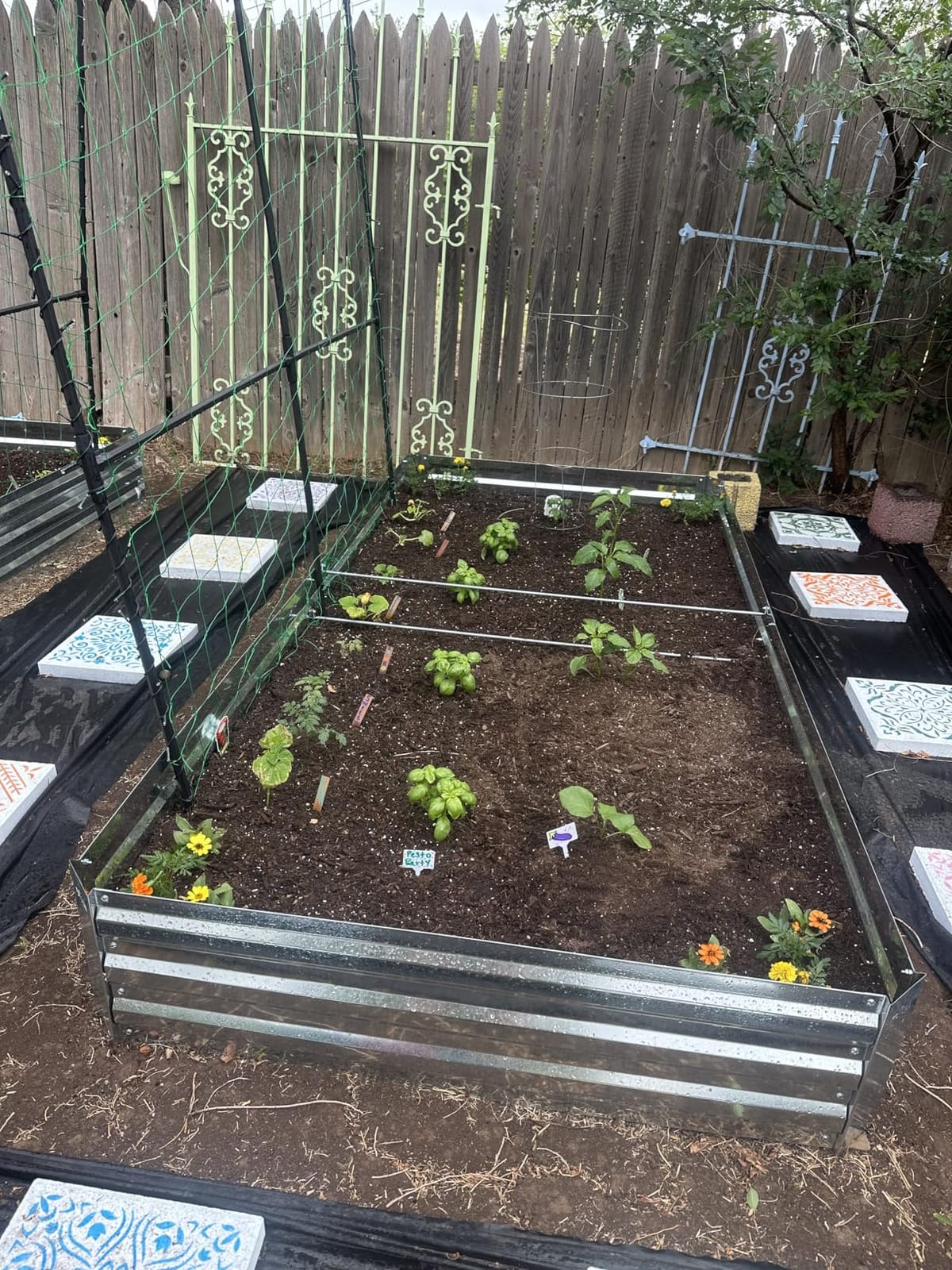 2-Pack Galvanized Raised Garden Bed 8x4x1ft customer photo 2