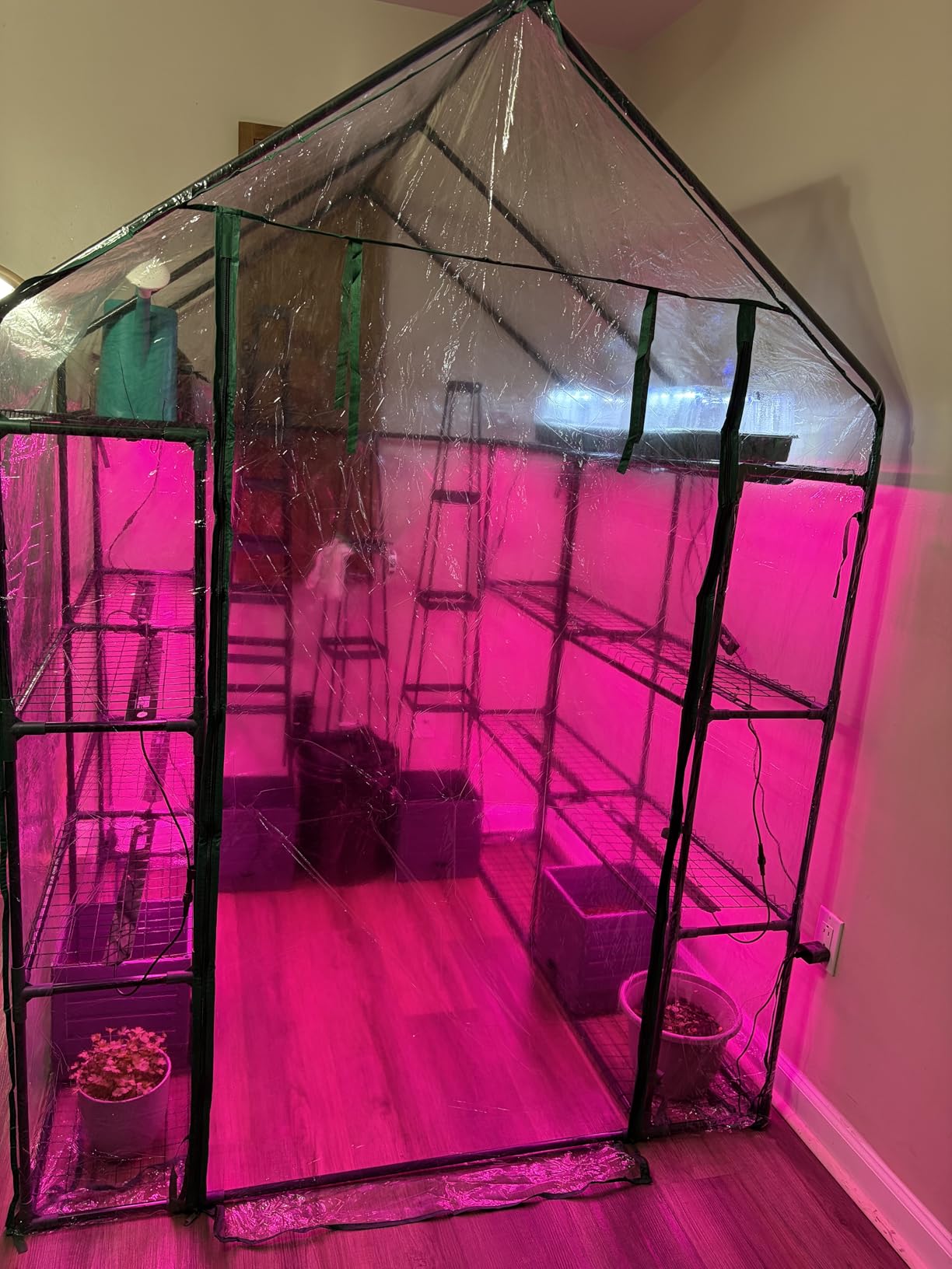 Bstrip Indoor Greenhouse with Grow Light, 4-Tier Mini Greenhouse Indoor customer photo 2