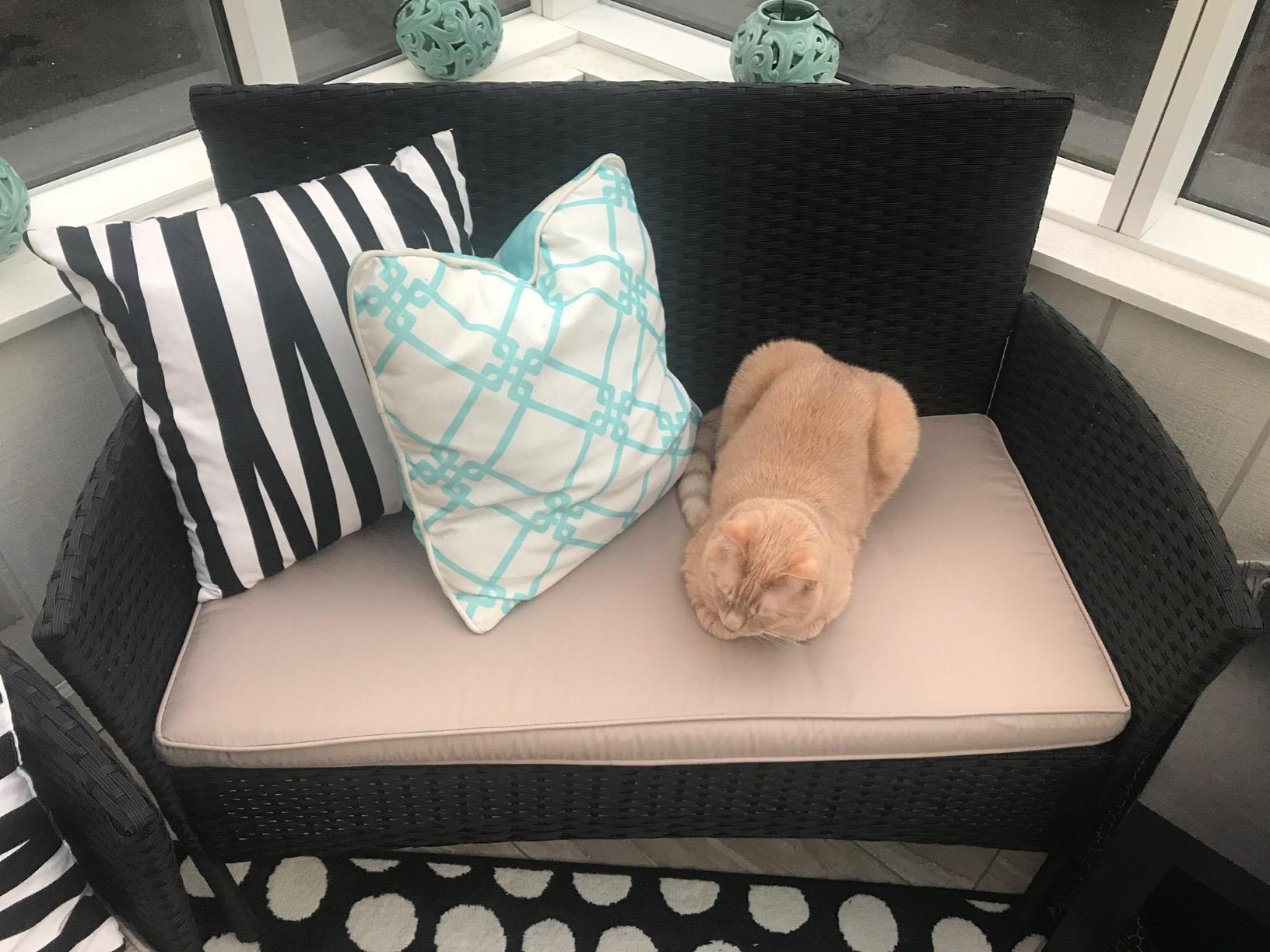 3PCS Patio Bar Set Outdoor Furniture Set Wicker Bistro Set with Two Stools for Patio Backyard Balcony,Blue Cushion customer photo 1