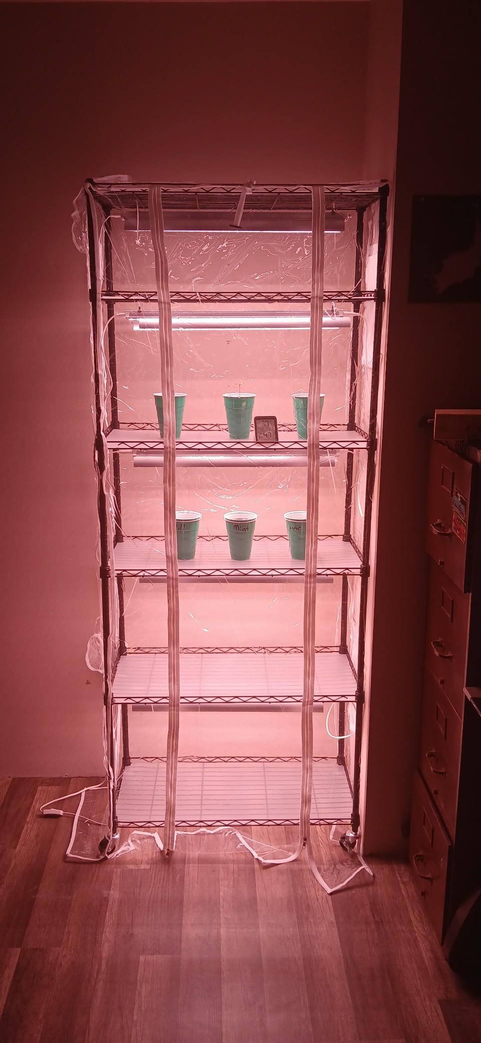 Bstrip 6-Tier Indoor Greenhouse with Grow Light, 29.5x13.8x71in customer photo 2