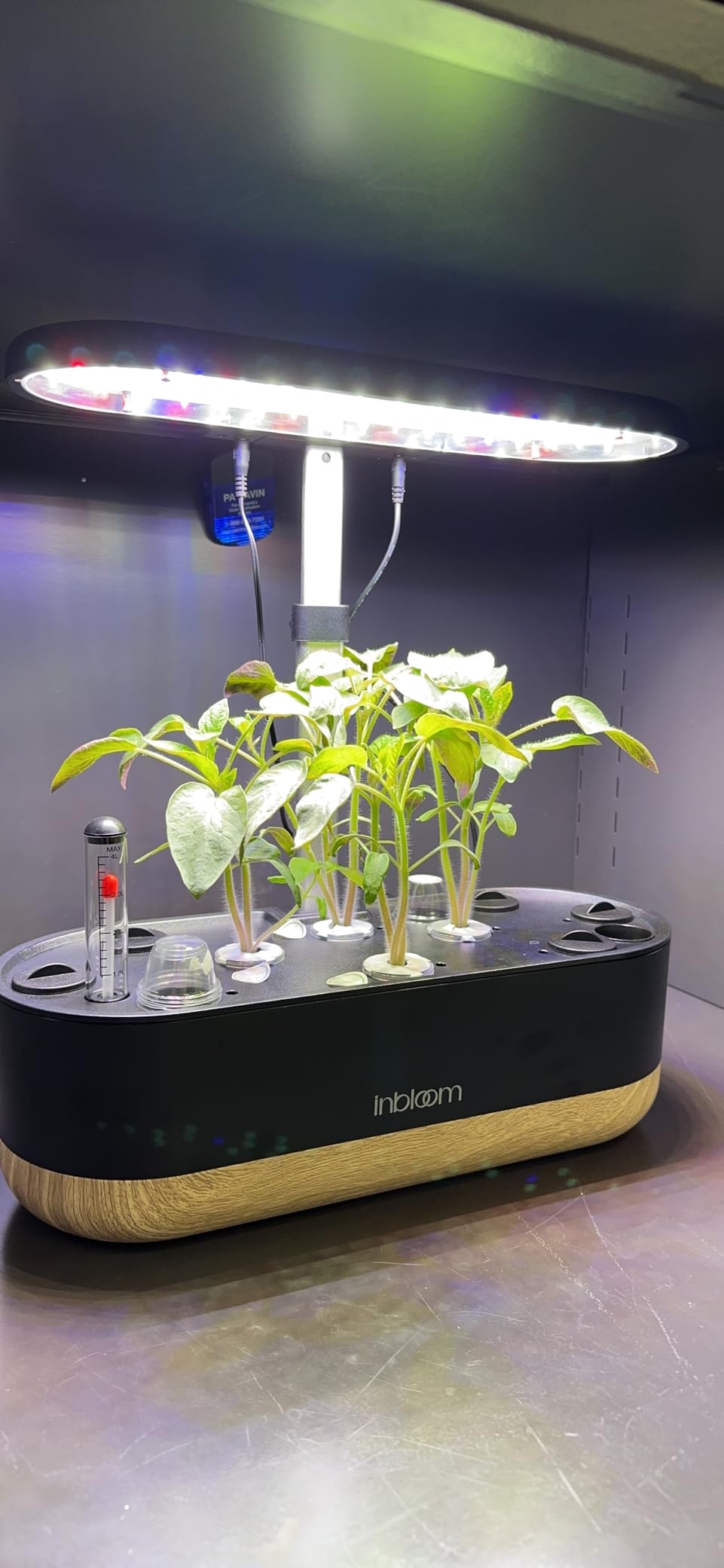 inbloom Hydroponics Growing System 12 Pods, Indoor Herb Garden with LEDs Full-Spectrum Plant Grow Light, Water Shortage Alarm, Automatic Timer, Height Adjustable,Gardening Gifts for Women, White customer photo 2