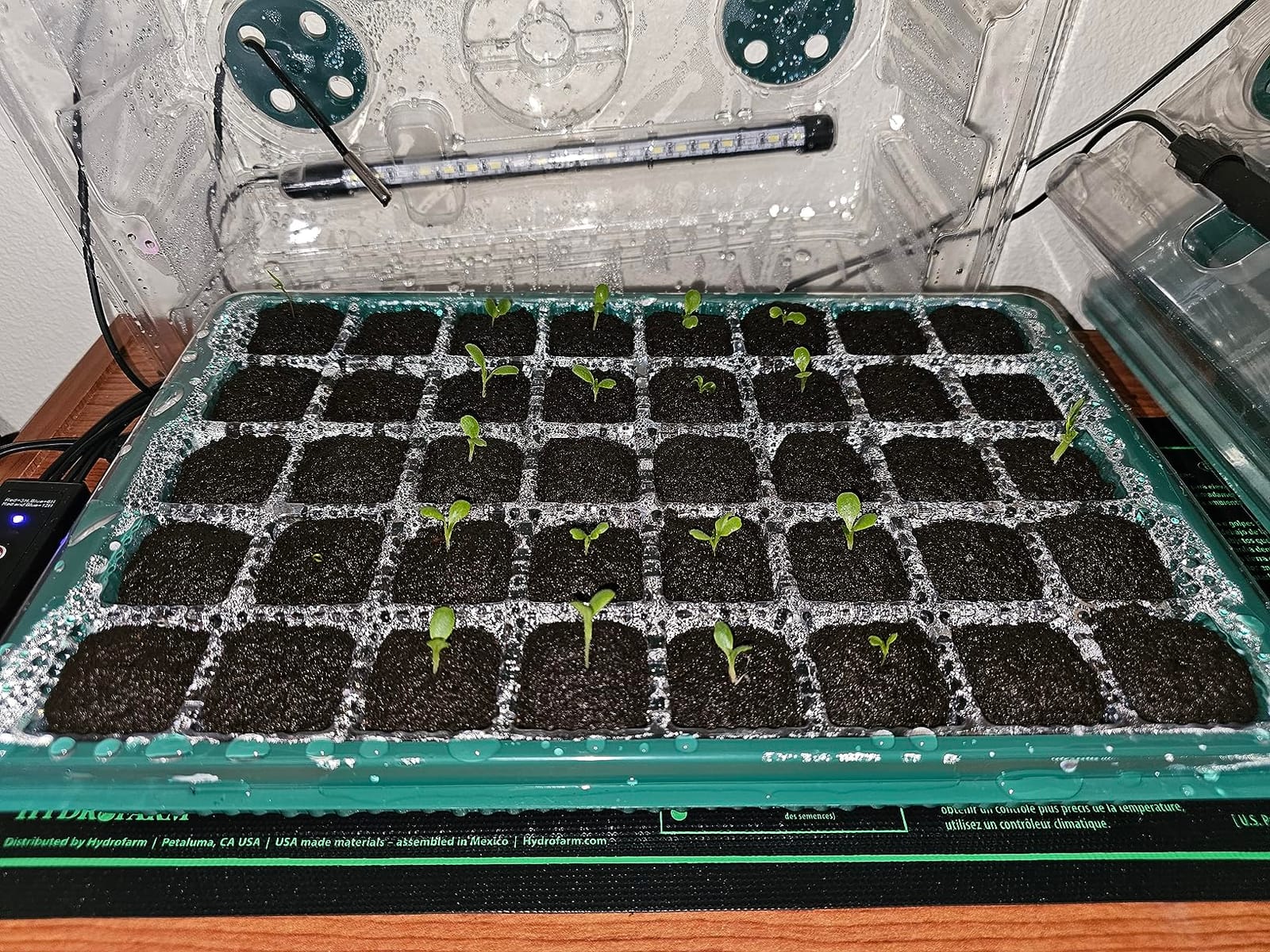 BlumWay Seed Starter Tray with Grow Light, Humidity Dome, 2 Pack 80 Cells customer photo 1