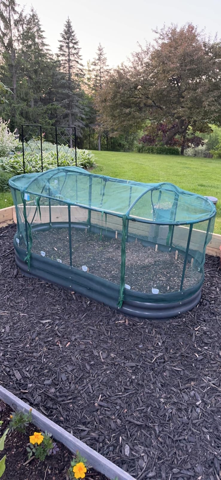 Quictent Raised Garden Bed Kit with Self Watering System & Netting 6x3x1Ft customer photo 2