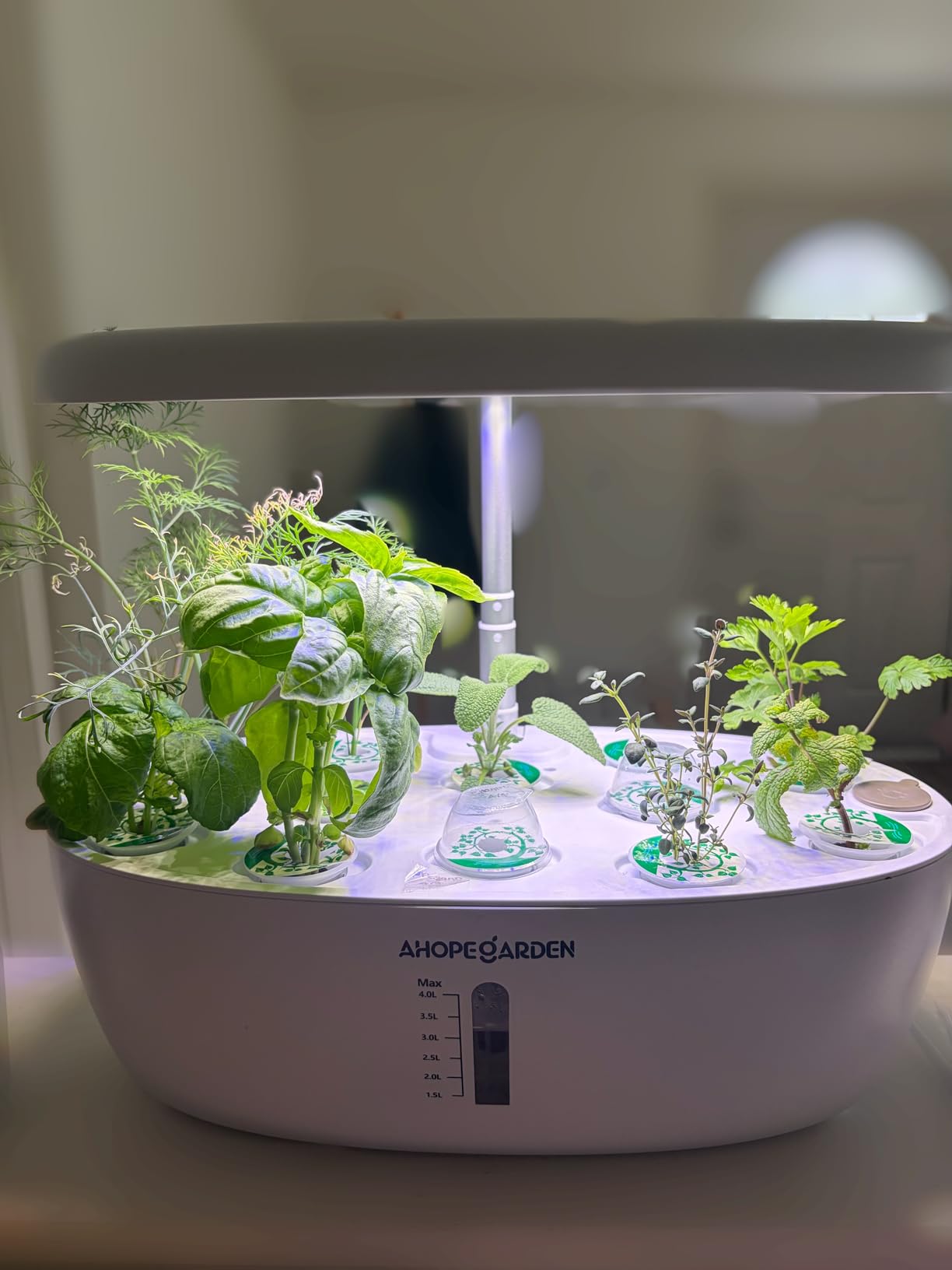 Ahopegarden Hydroponics Growing System: 12 Pods Indoor Herb Garden with LED customer photo 2
