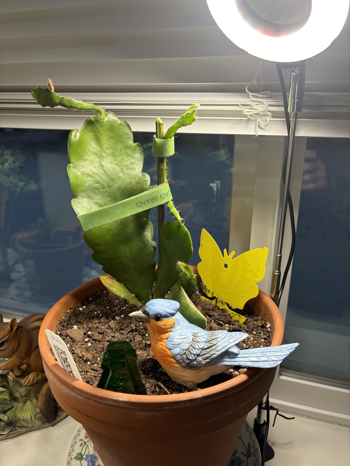 Aokrean Grow Lights for Indoor Plants, Full Spectrum Plant Light with Base customer photo 1