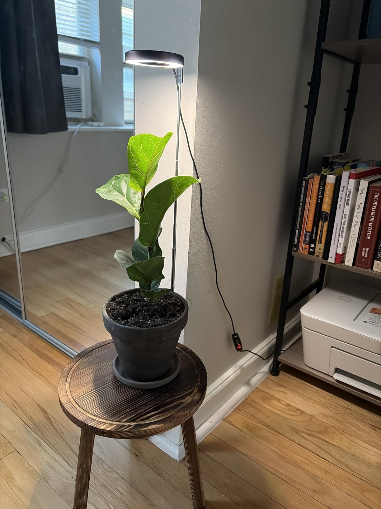 Aokrean Grow Lights for Indoor Plants, Full Spectrum Plant Light with Base customer photo 2