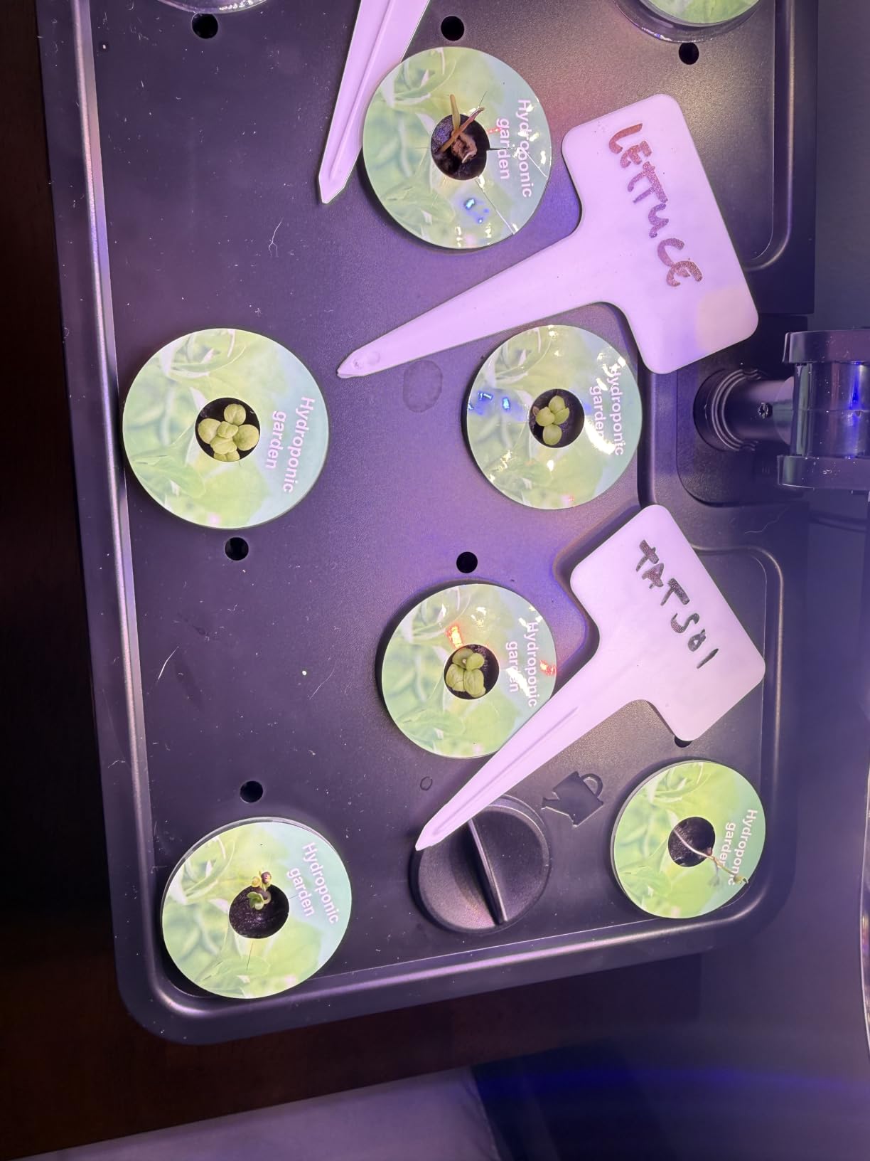 URUQ 8 Pods Hydroponics Growing System with LED Grow Light - White customer photo 1