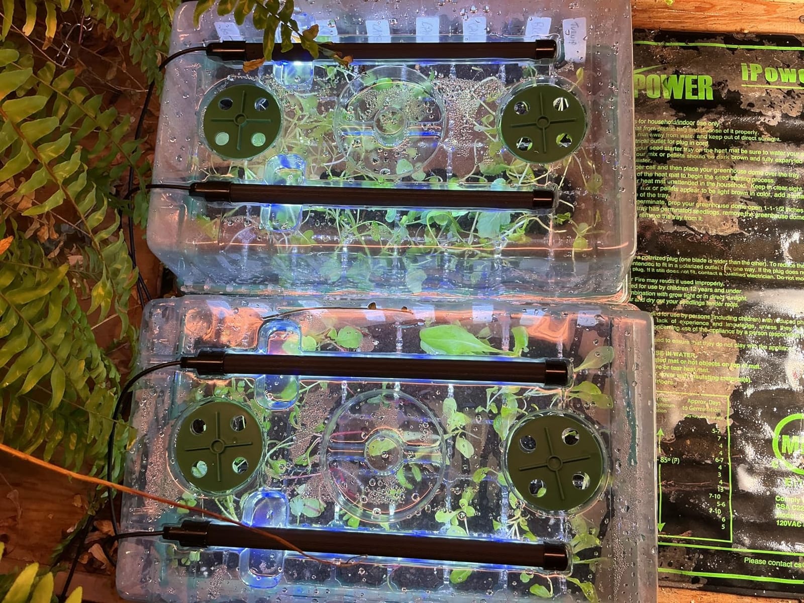 Sondiko Seed Starter Tray with Grow Light, 80 Cells Starter Kit customer photo 1