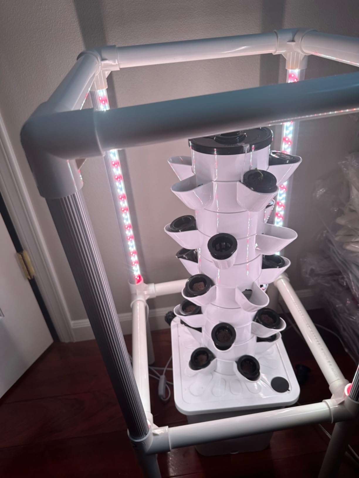 SJZX Hydroponics Growing System, Hydroponic Tower with Full-Spectrum Grow Lights, 5/14Tiers Indoor Outdoor Garden Planter, Vertical Home Gardening Germination Kits for Vegetables, Fruits, Herb (5L6H) customer photo 2