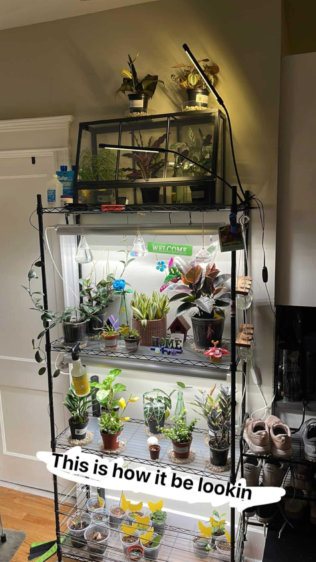 Barrina CX3 Plant Stand with Grow Light, 4-Tier, 108W, 35.4x13.8x70.9IN customer photo 1