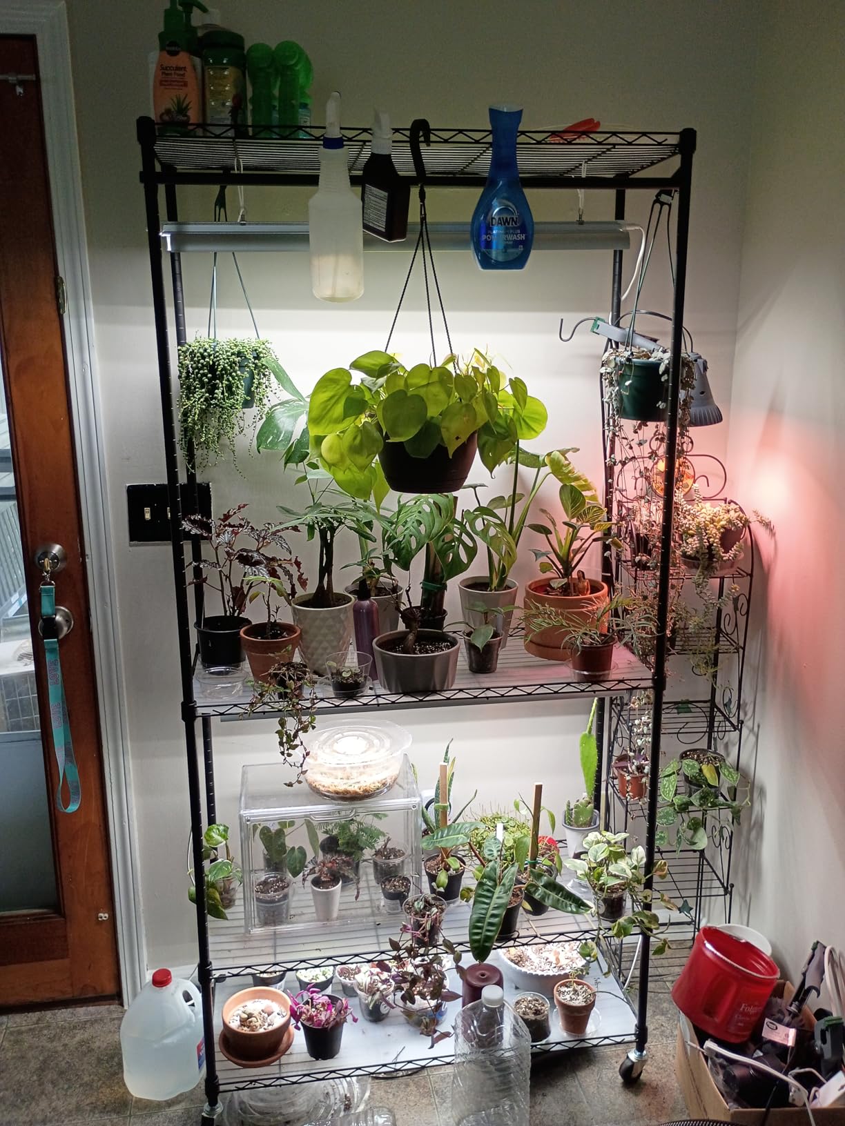 Barrina CX3 Plant Stand with Grow Light, 4-Tier, 108W, 35.4x13.8x70.9IN customer photo 2