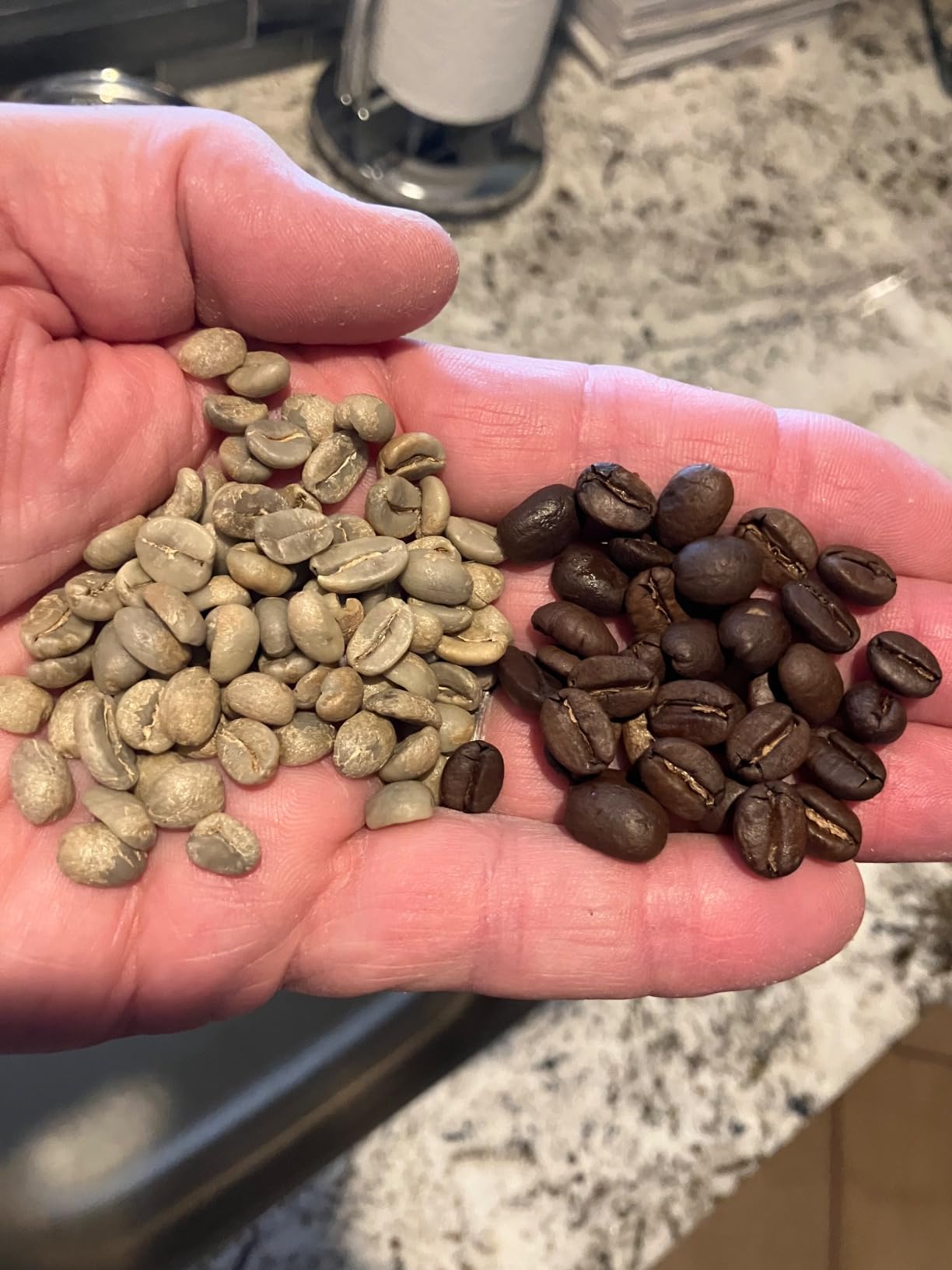 kaldi motorized gas coffee roaster - 200g capacity, gas burner required (Full Package) customer photo 2