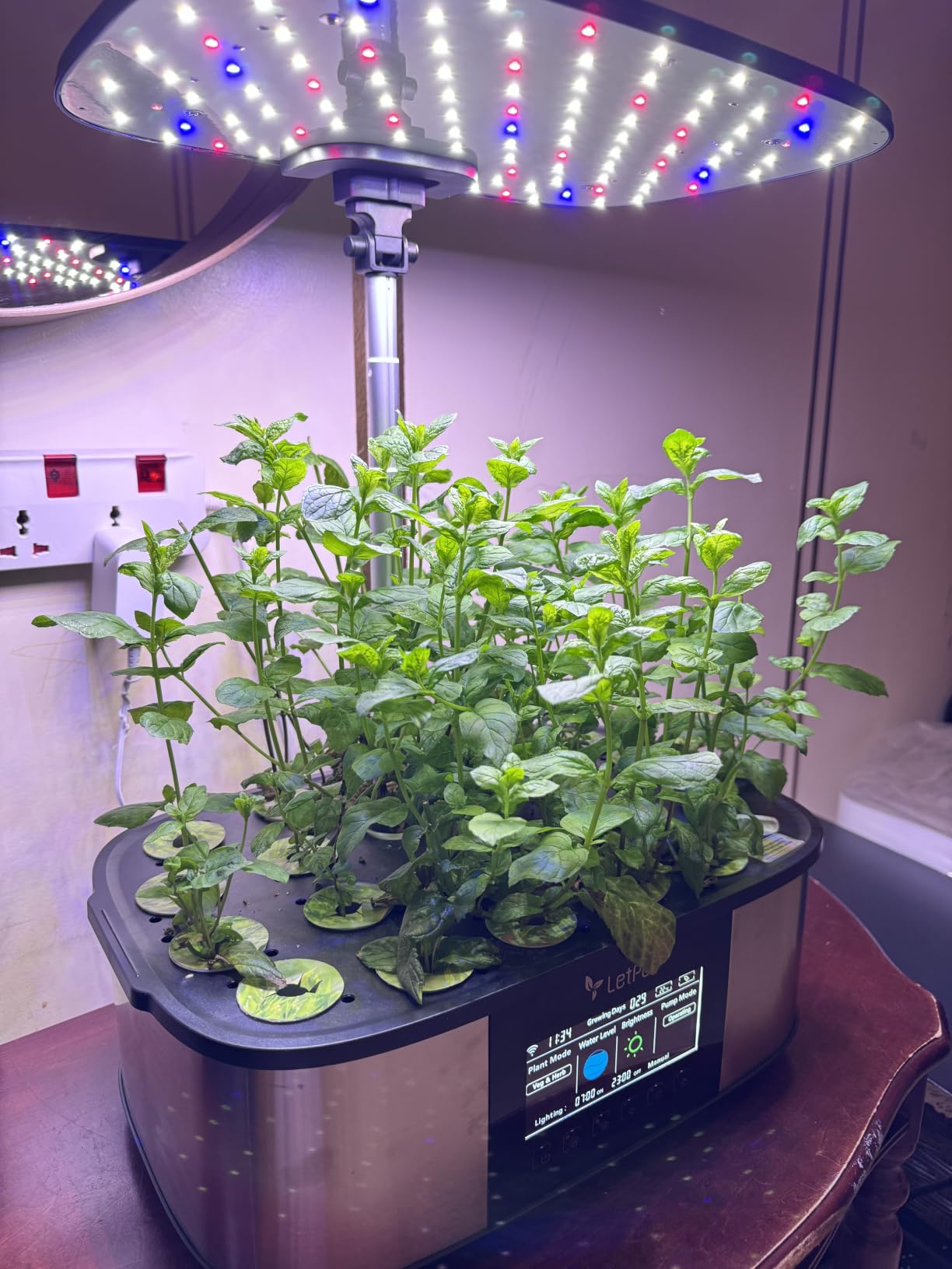 LetPot LPH-Max Hydroponics Growing System Kit, 21 Pods APP & WiFi Automatic Controlled Smart Indoor Garden with 36W LED Grow Light, Auto Drip Irrigation Kits, Self-Managed Nurturing & Watering customer photo 2