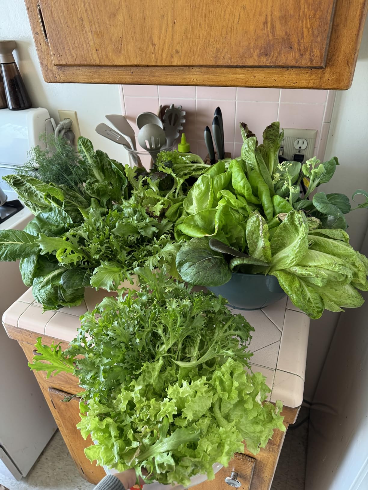 Lettuce Grow Farmstand Nook | 4ft 7in Vertical Hydroponic Garden Tower customer photo 2