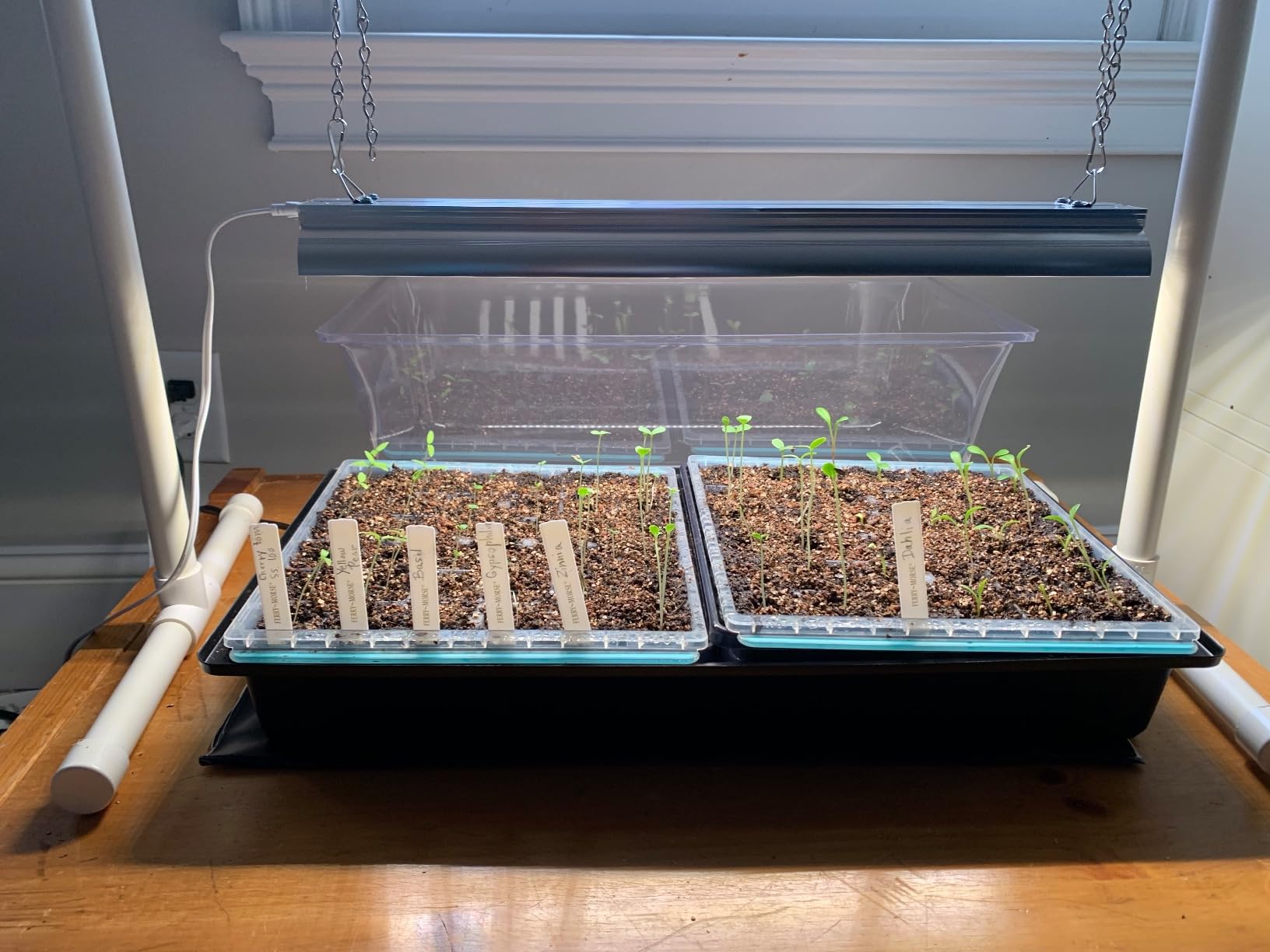 SOLIGT 1020 Size Seed Starter Kit with Grow Light and Heat Mat customer photo 1