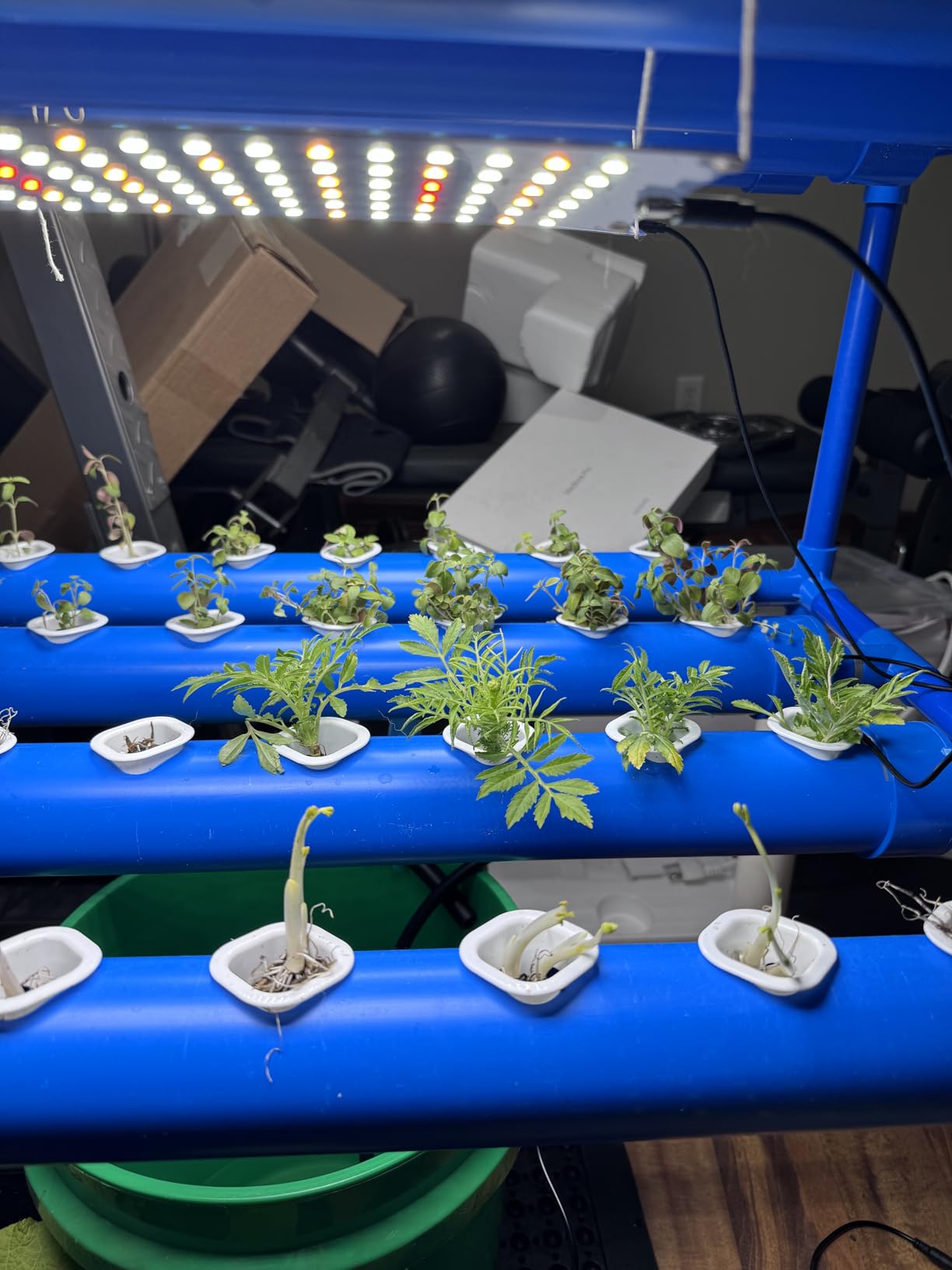 3-Tier 108 Sites Hydroponics Growing System Kit with Light Blocking customer photo 1
