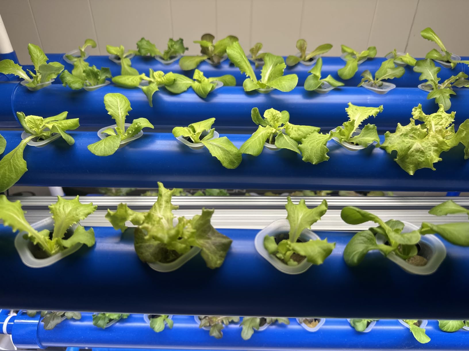 3-Tier 108 Sites Hydroponics Growing System Kit with Light Blocking customer photo 2