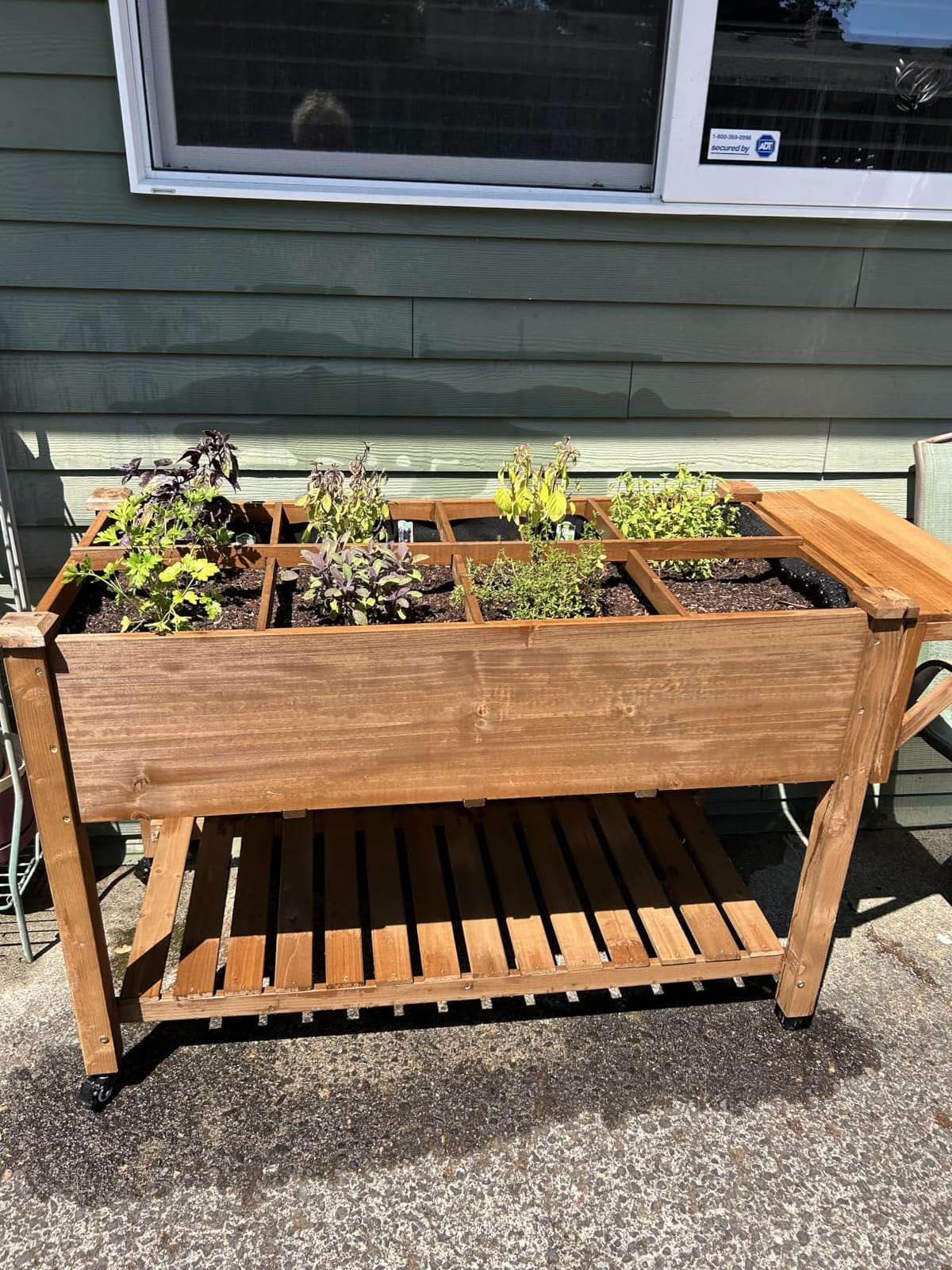 ketive Raised Garden Bed with Lockable Wheels Mobile Elevated Wood Planter,Storage Shelf, Protective Liner,55.5x24x32in (Brown) customer photo 1