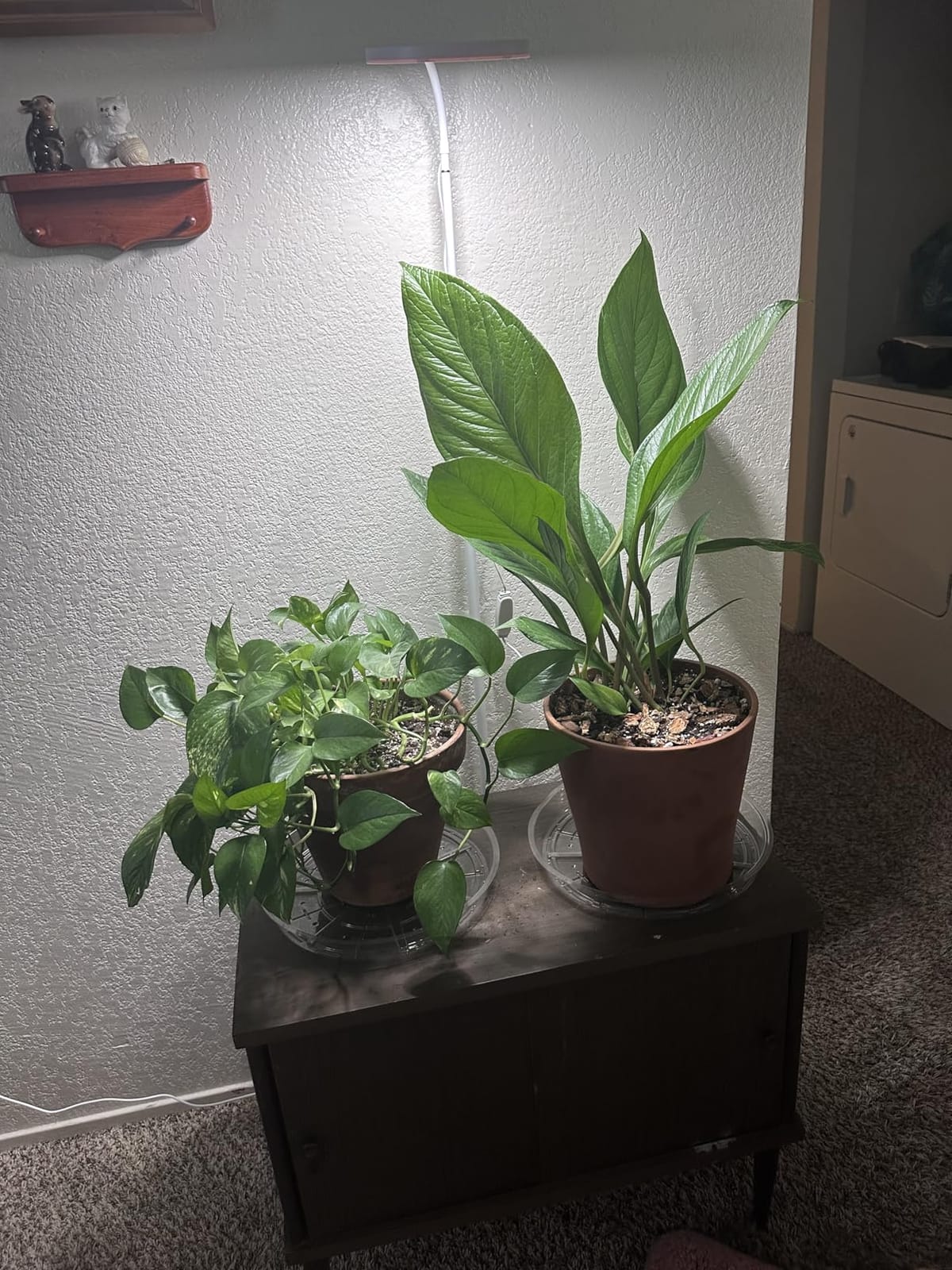 Aumtrly Floor Grow Light Full Spectrum with 68