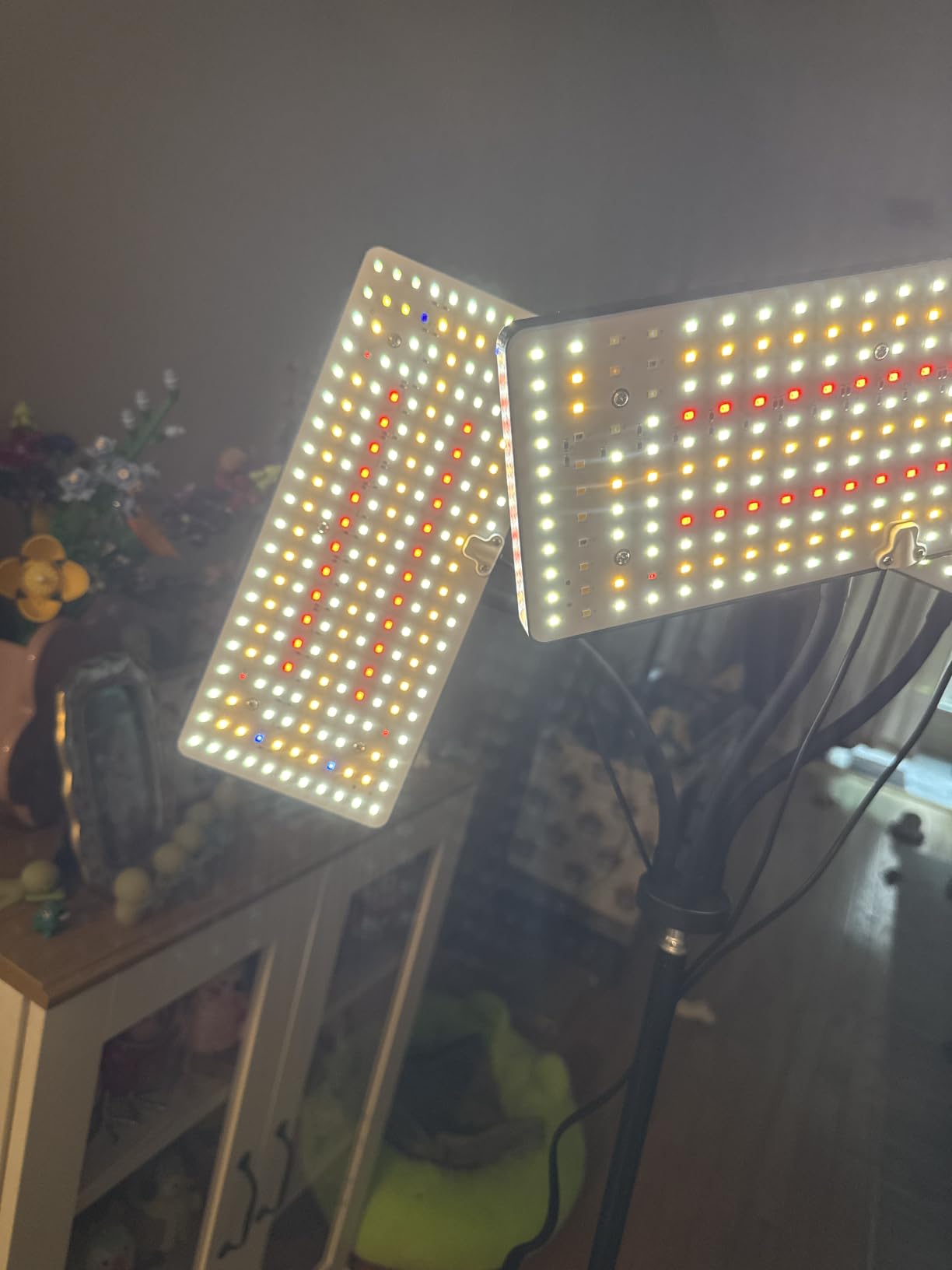 LBW Grow Light for Indoor Plants, 642 LEDs Grow Light with Stand customer photo 1