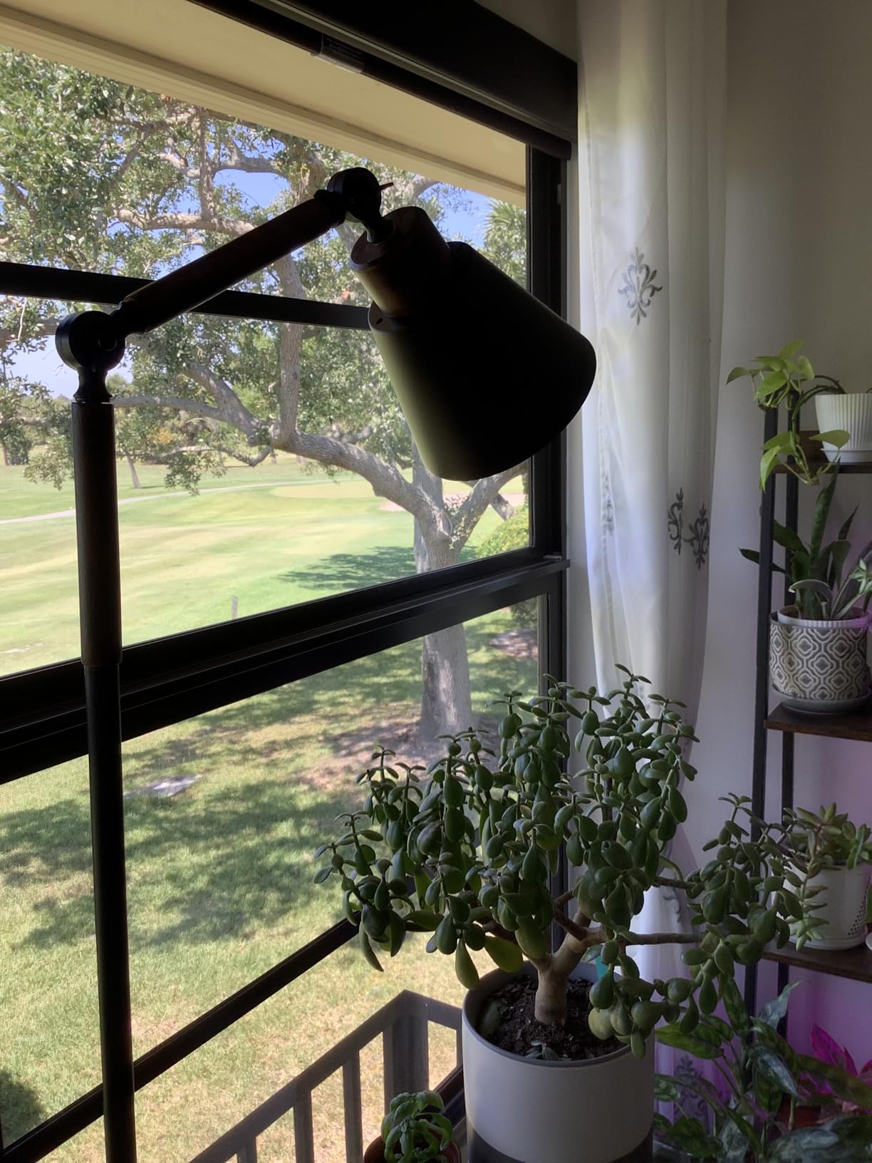 Garpsen Grow Lights for Indoor Plants, Full Spectrum with Stand, 80 LEDs customer photo 2