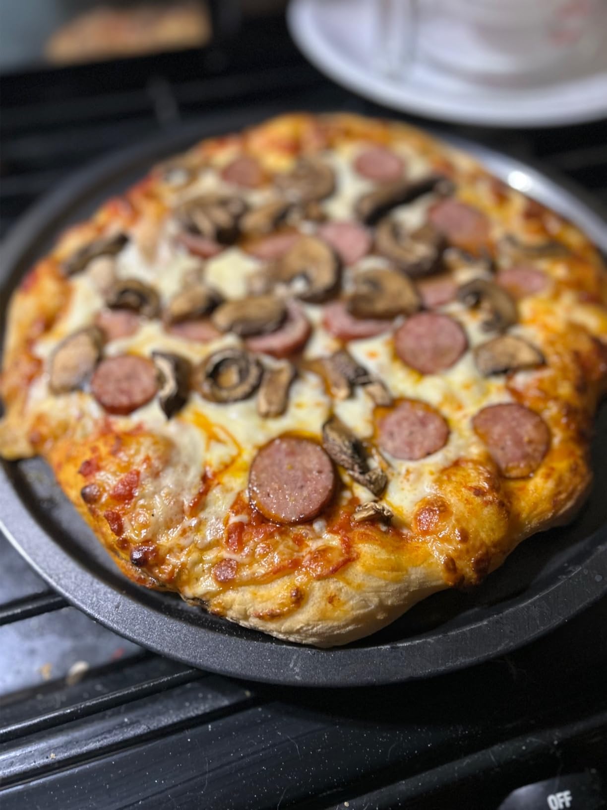 Pizza Oven Outdoor Wood Fired and Gas Pizza Oven 12 Multi-Fuel Pizza Oven, Portable Pizza Maker Oven Grill for Outside Backyard, with Gas Burner, Wood Tray, oven gloves, Peel, and Cutter customer photo 2