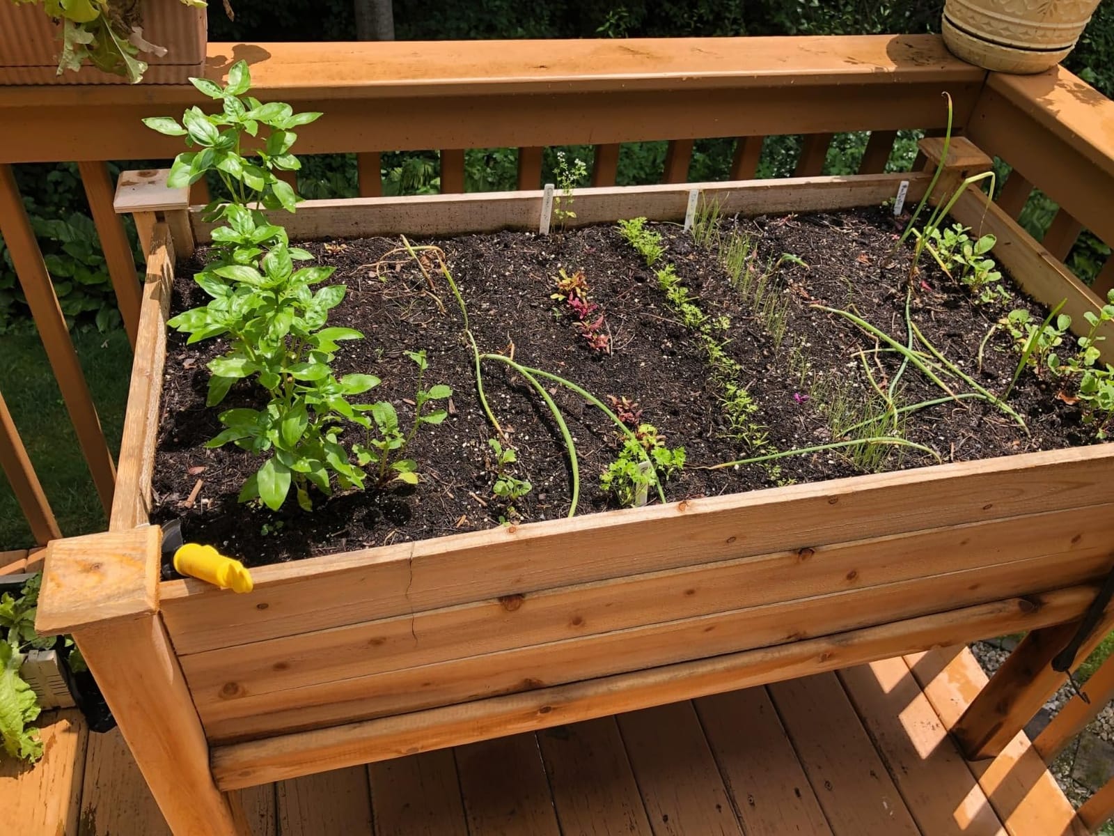 Greenes Fence Original Cedar Elevated Garden Bed, 24