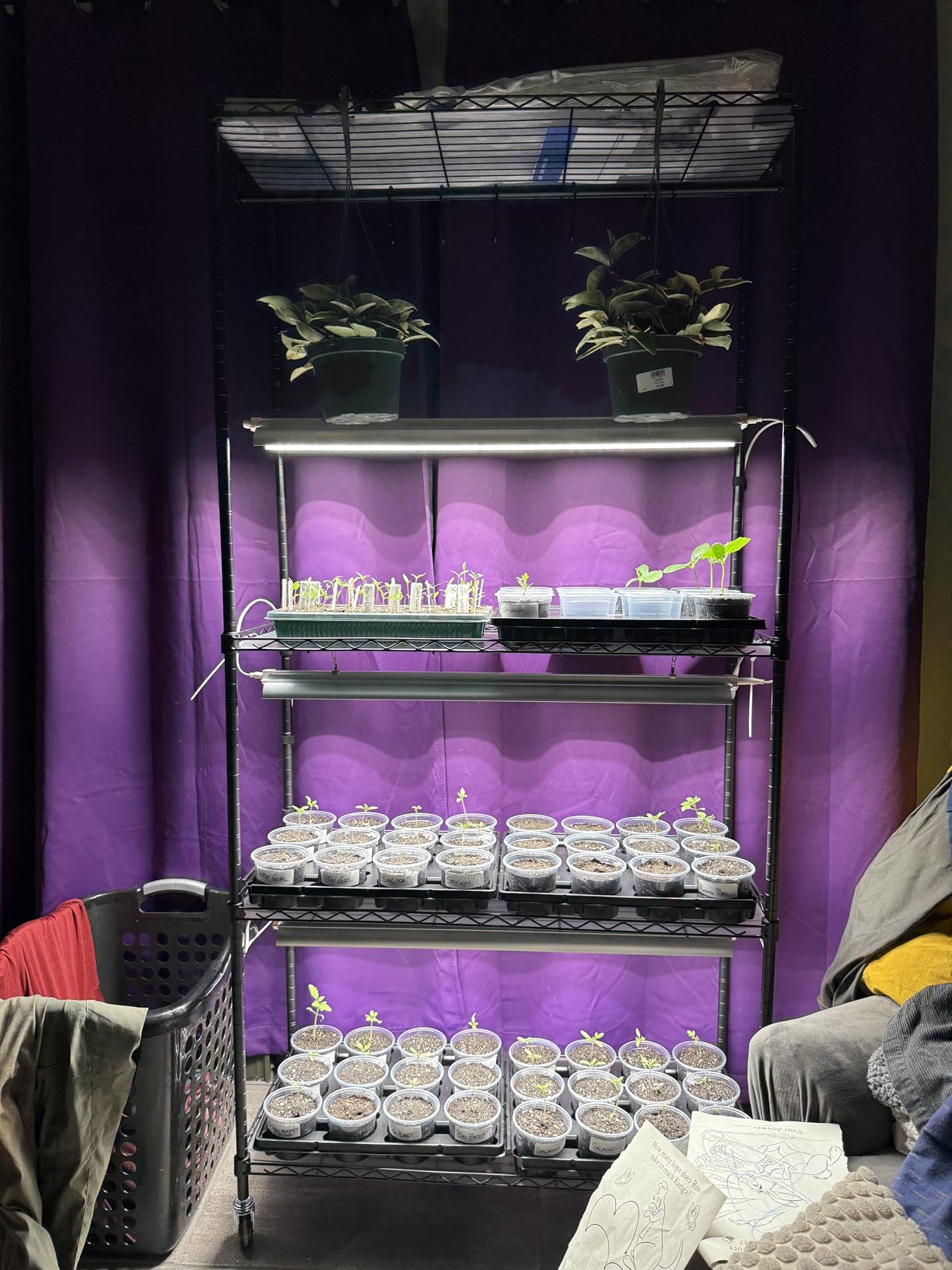Barrina CX3Z Indoor Greenhouse with Grow Light 4-Tier 108W 35.4x13.8x70.9IN customer photo 1