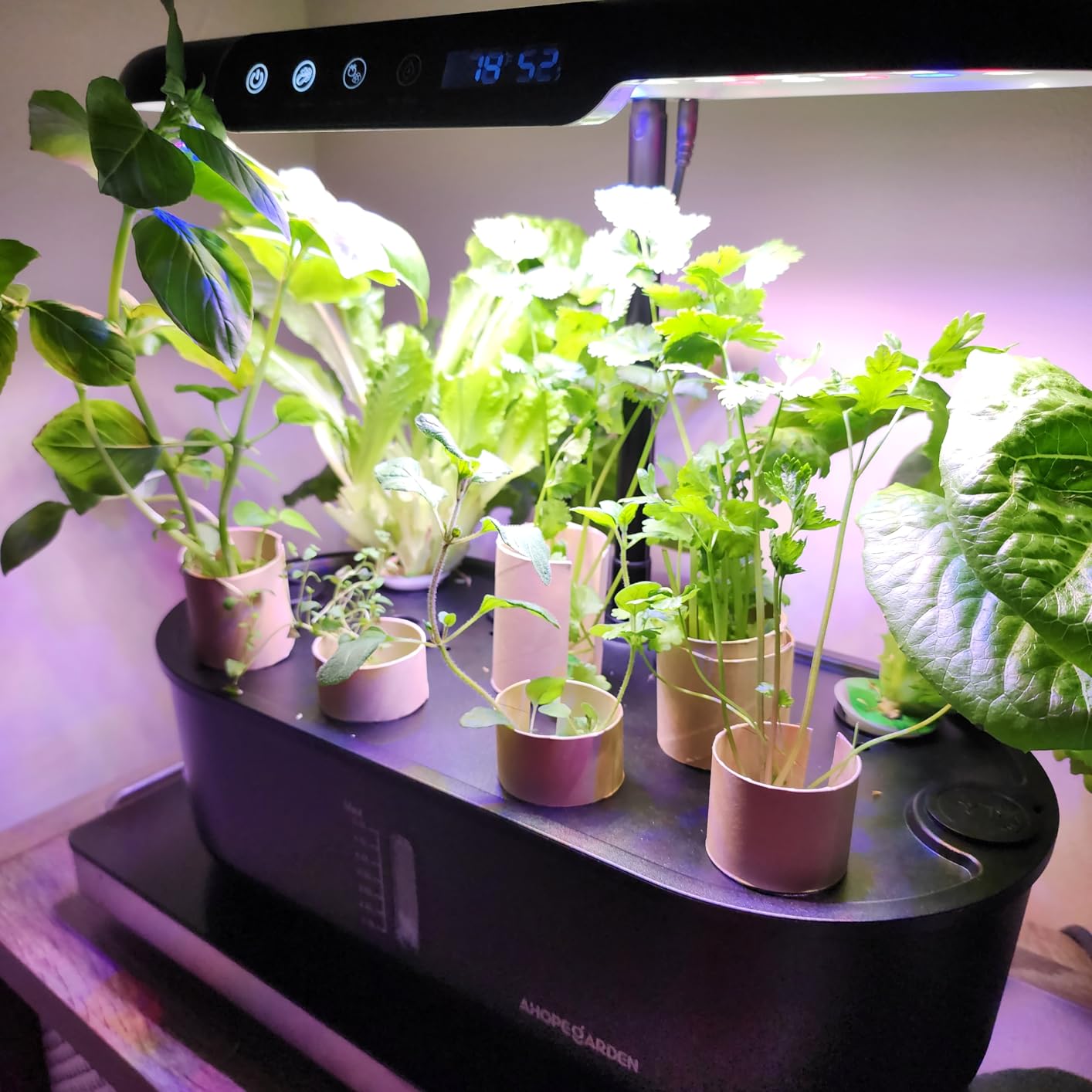 Ahopegarden Hydroponics Growing System Kit: 12 Pods Temp & Humidity Monitor customer photo 1