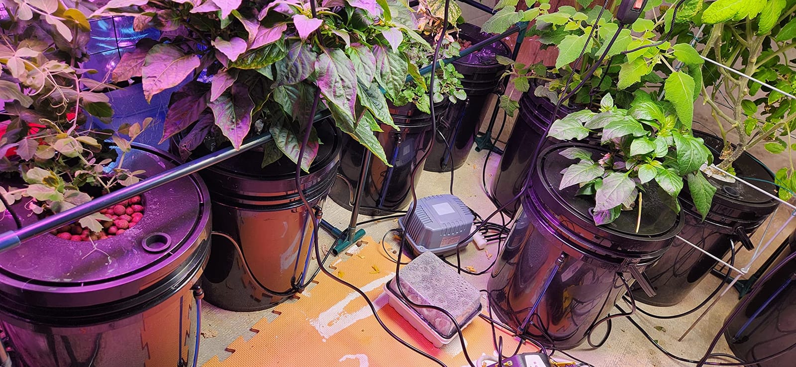 VEVOR DWC Hydroponics Grow System, Hydroponic Growing System with Top Drip Kit, Deep Water Culture 5-Gallon 4 Buckets, with Air Pump, Air Stones and Water Level Device for Leafy Vegetables customer photo 1