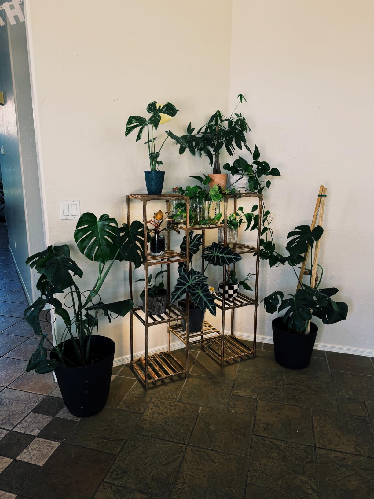 Bamworld Plant Stand with Grow Light Plant Shelf for Mutiple Pots Large Plant Holder for Living Room Patio Boho Home Decor for Gardening Warm Light customer photo 1