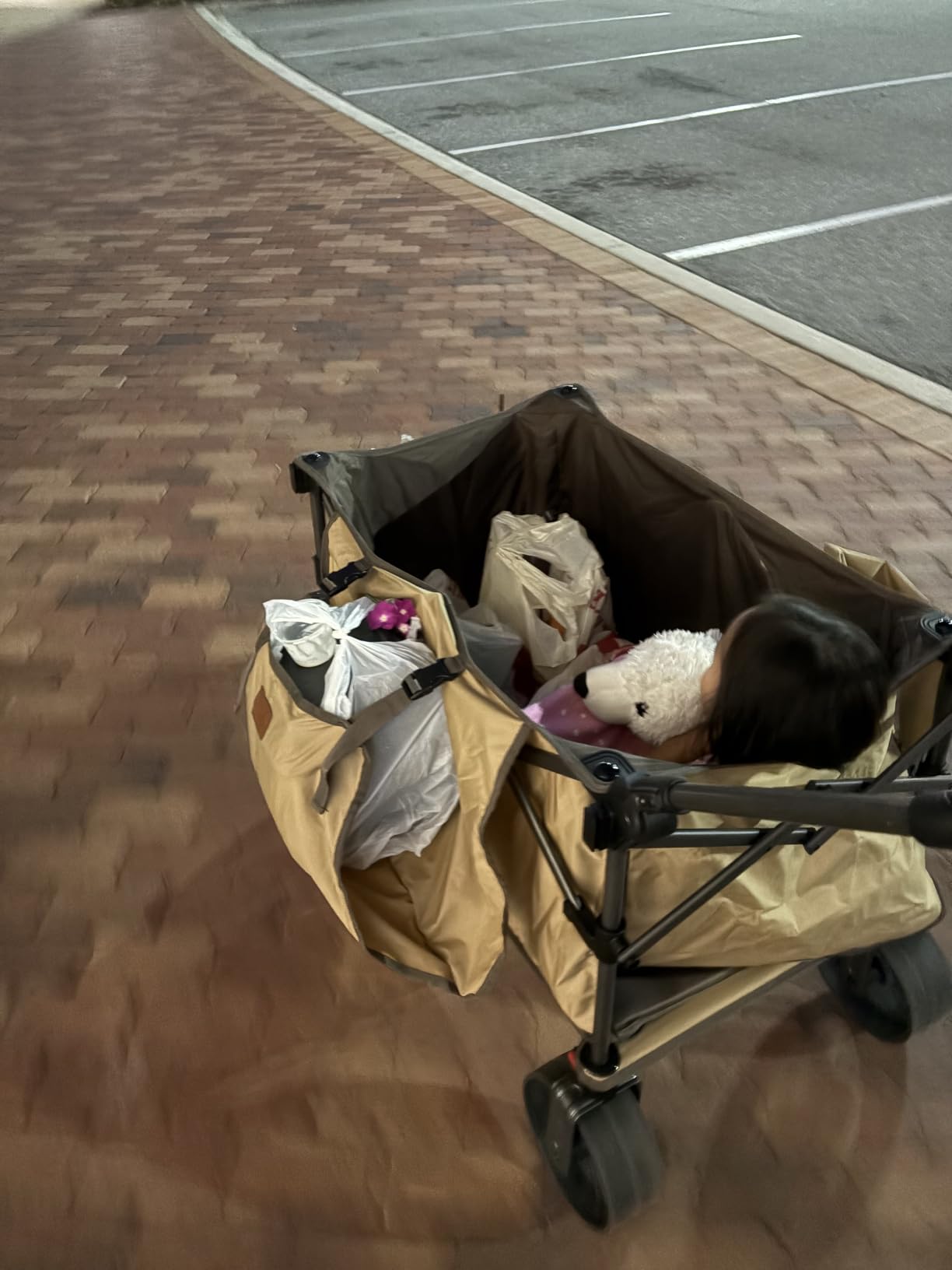 EVER ADVANCED Folding Push Wagon with Canopy, Shopping Cart with Brakes customer photo 1