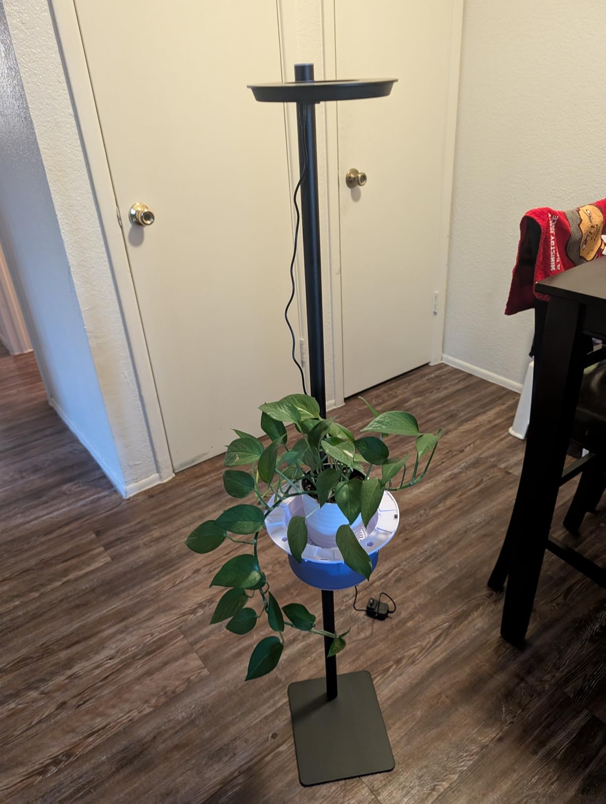 Indoor Plant Hydroponics Growing System Tower Kit with Grow light,Herb Vegetable Indoor Gardening System with Standing Floor Tall LED Grow Lights,Height Adjustable with Stand,Timer,Trellis customer photo 1